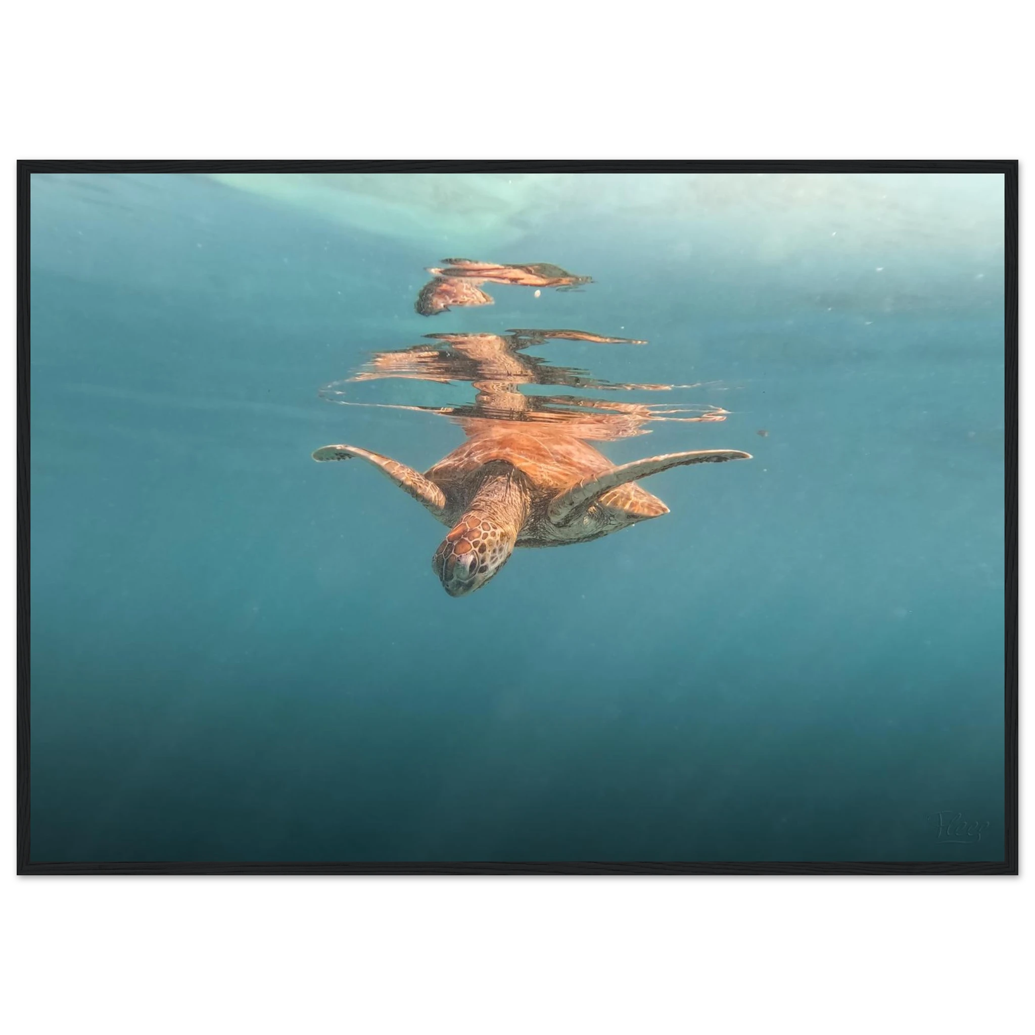 e26fb056-a542-4736-bb7a-b6836e977e33