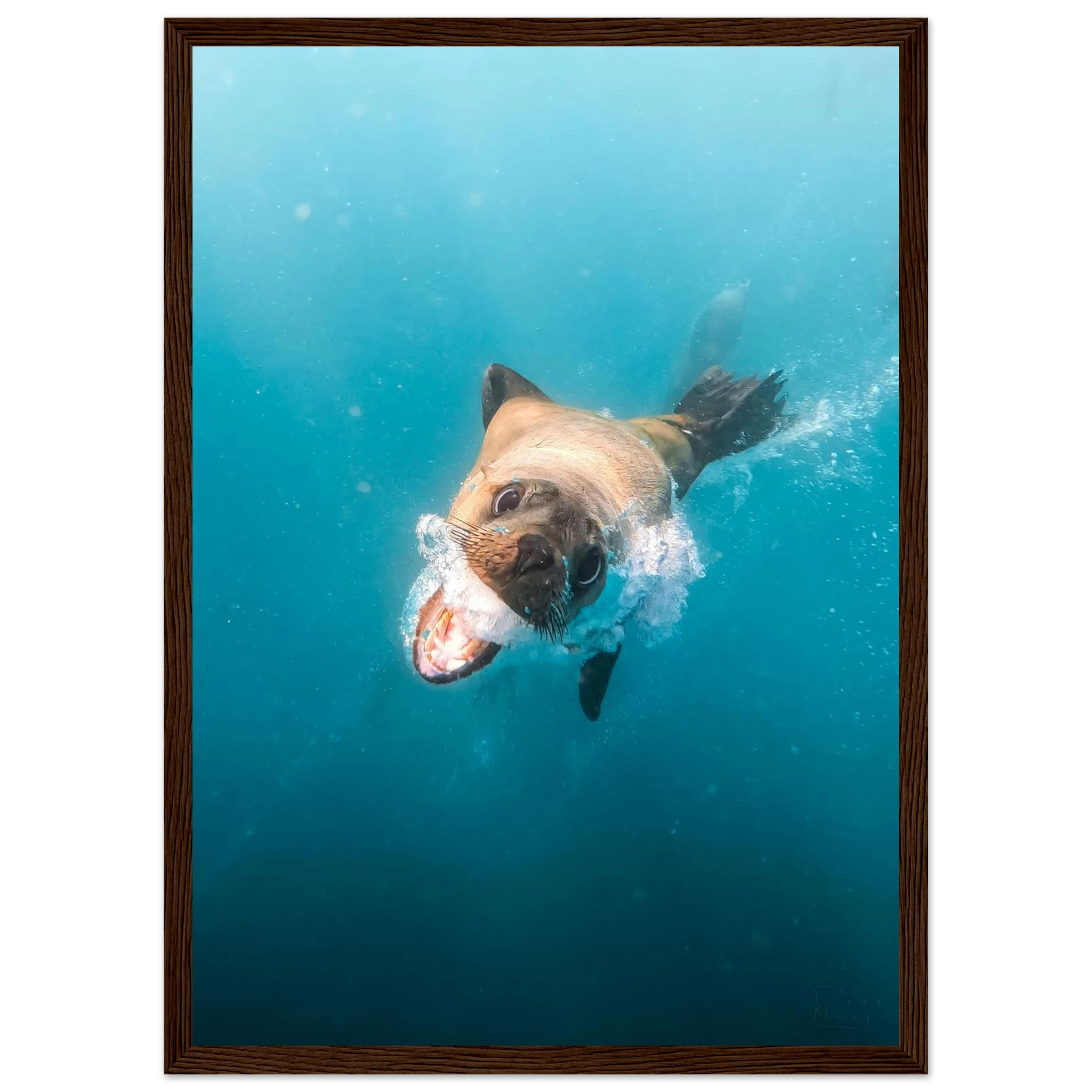 e37f08ee-0274-49f8-a69c-f8e8f25c208a