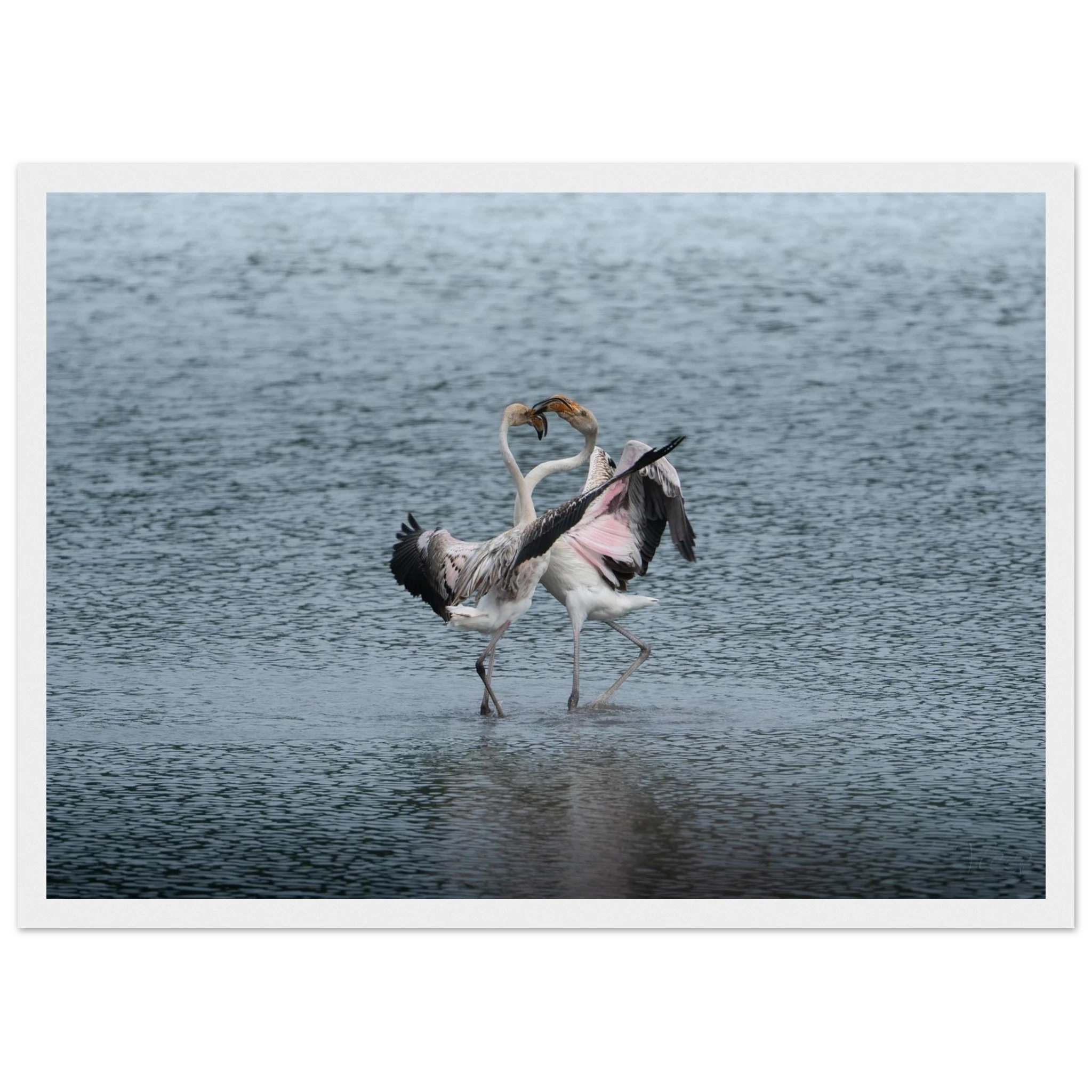 e39f41b6-a6f7-4786-ac01-c305a6ce7615