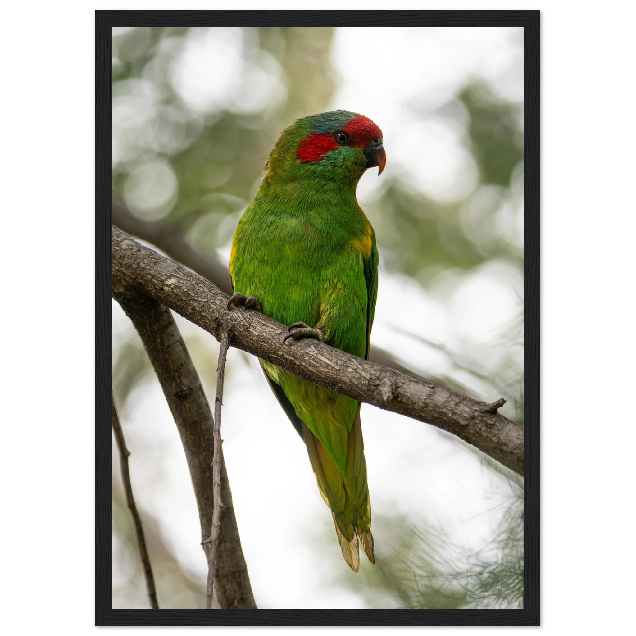 e40fa080-4270-4722-aa98-f40b2ced9fd2