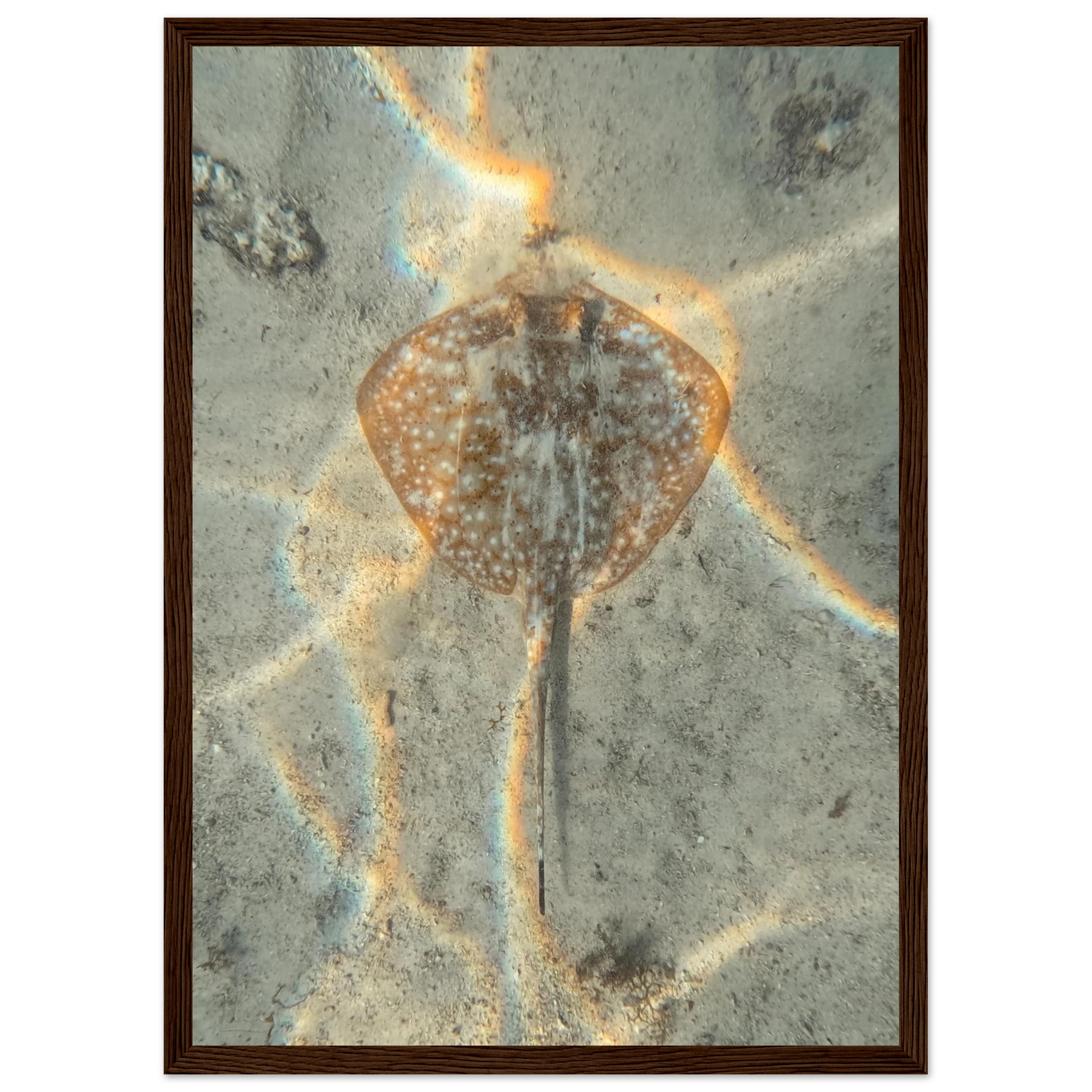 e46a23a3-4204-484f-88fd-846c34013273