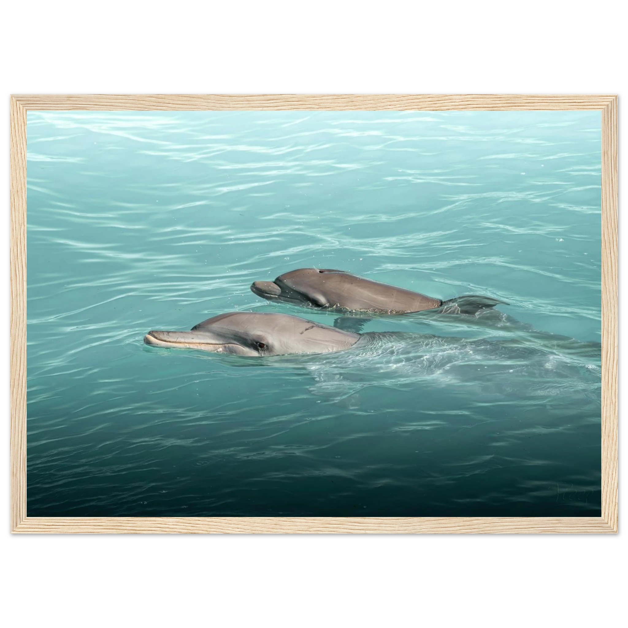 e54c9d61-f68f-4526-a738-7f25061e7aa4