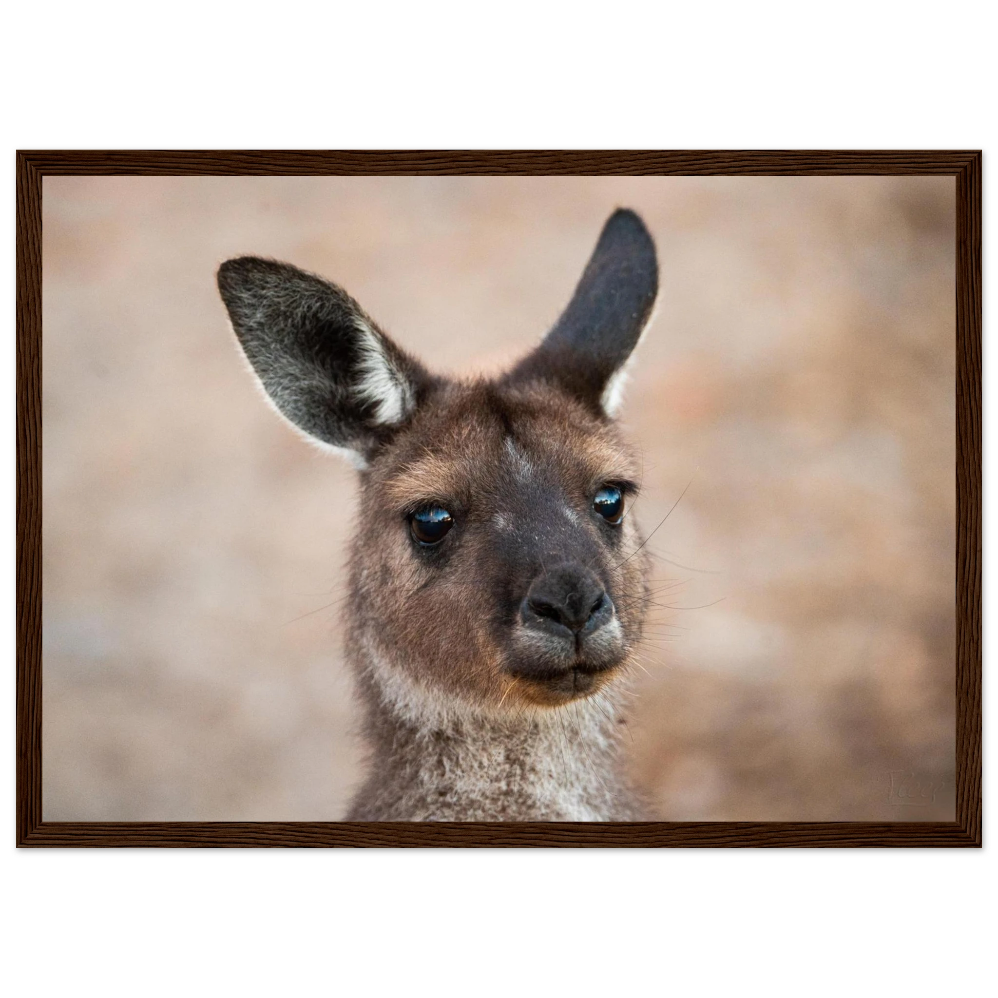 e5a490b7-707f-4db0-904f-c992ab8d61a7