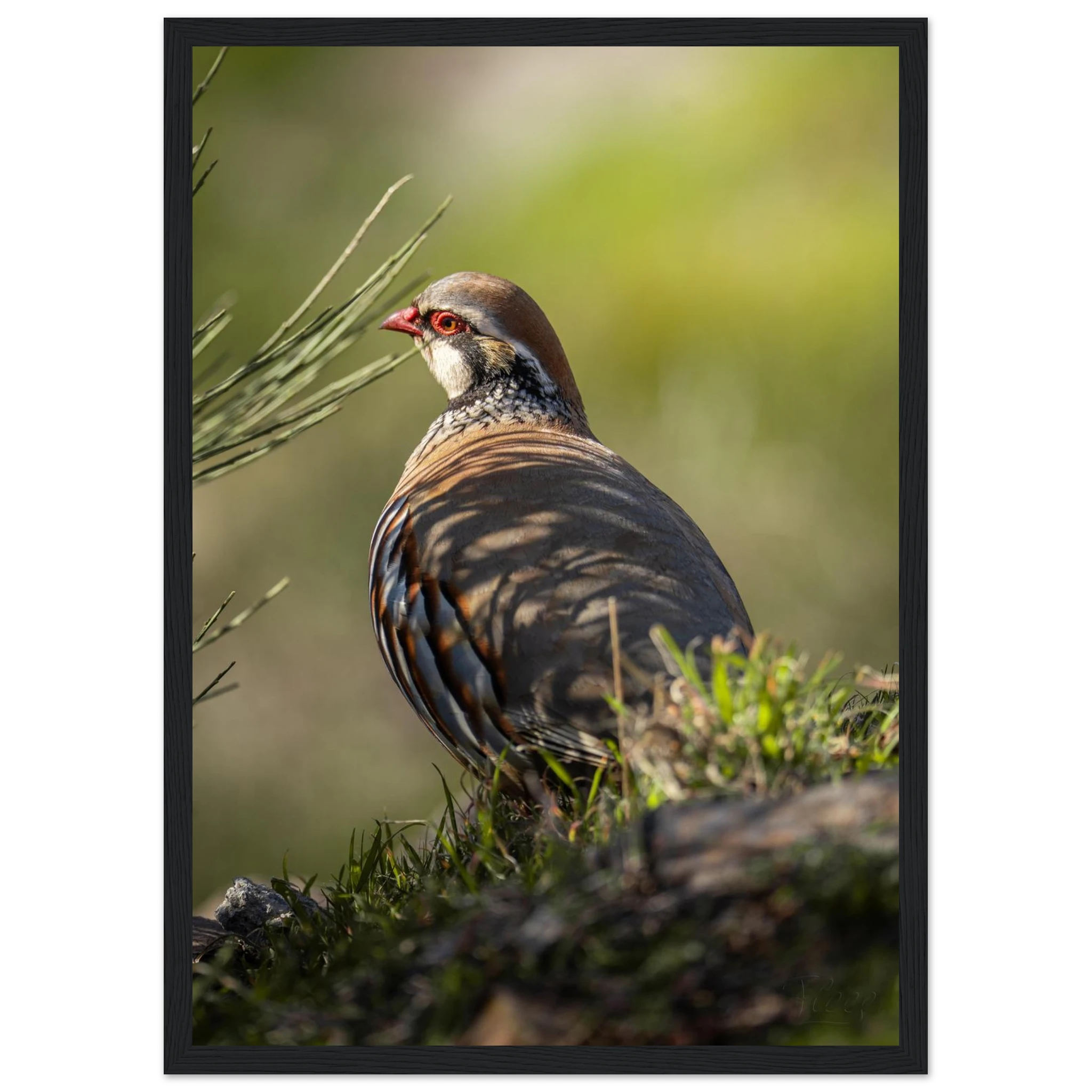 e5deac85-04f8-40ea-b608-c44b9ab7b0a1