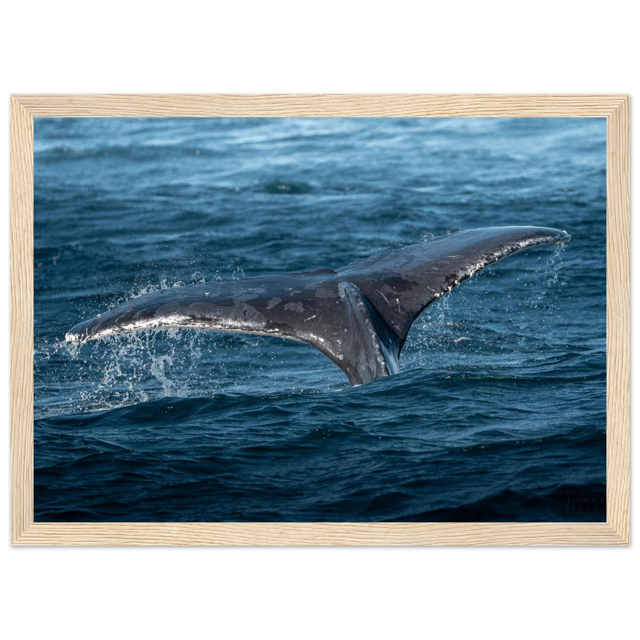 e65379b5-ae55-429a-a3a5-0415f4b375dd