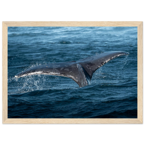 e65379b5-ae55-429a-a3a5-0415f4b375dd