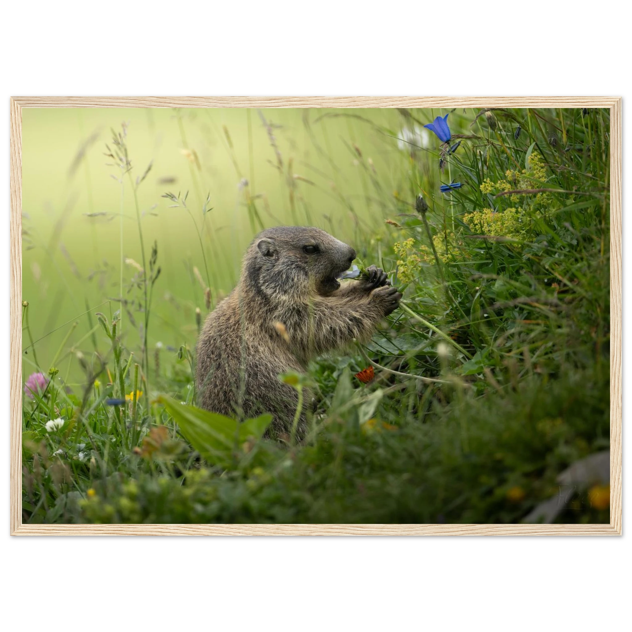 e669cdfb-fee4-425f-90a5-c4be4ceb6969