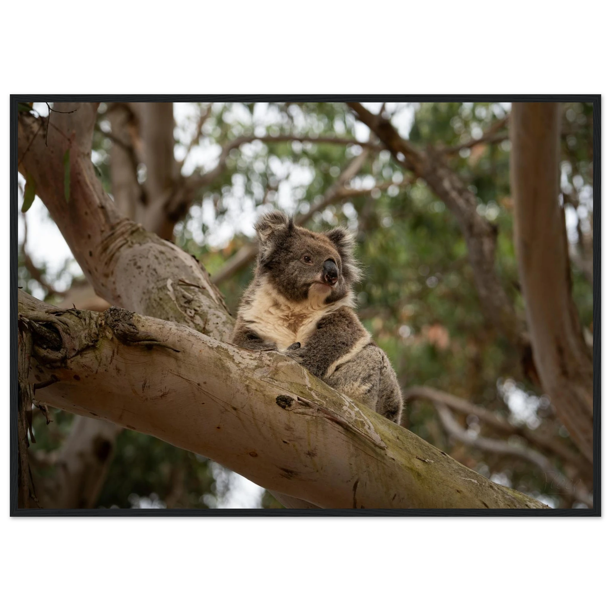 e6b08424-7f47-45a0-bba0-1ac182f4b31f