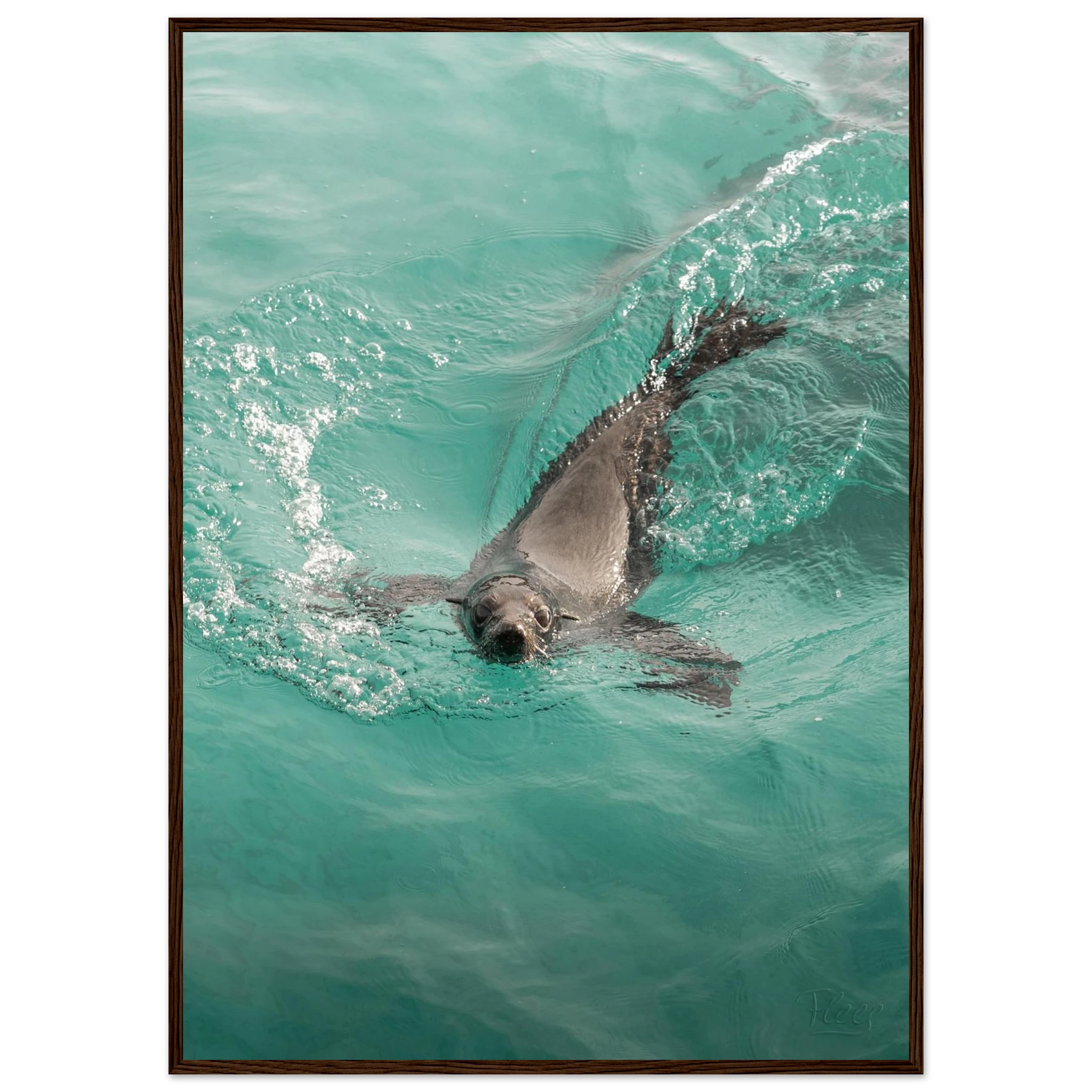 e6b8fb68-14c5-4cee-b84e-042957289450