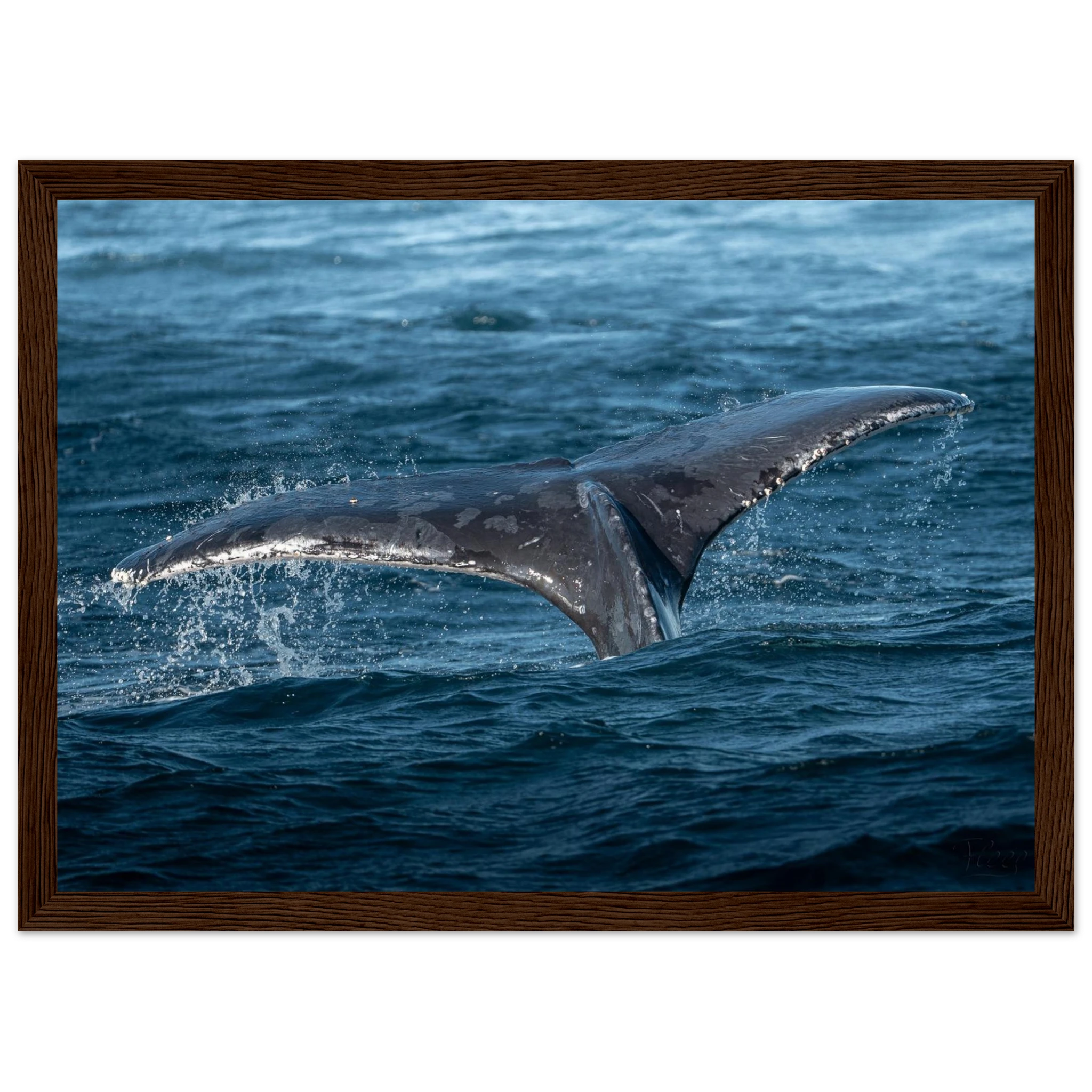 e6d59b72-f4d4-4ea8-9ddf-c9c9640fa028