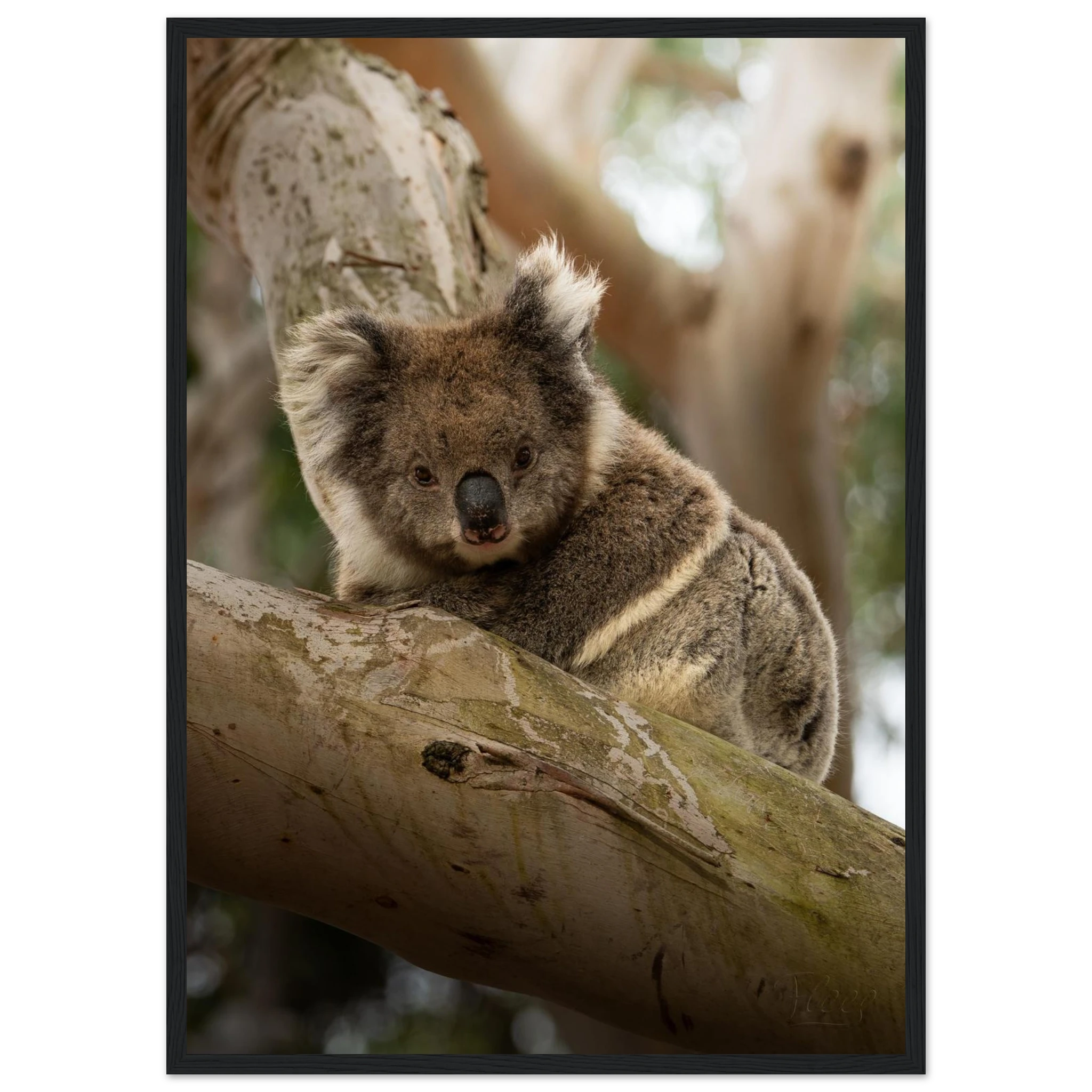 e6e7ac47-f30f-4dfd-9fbf-48666f46ce36