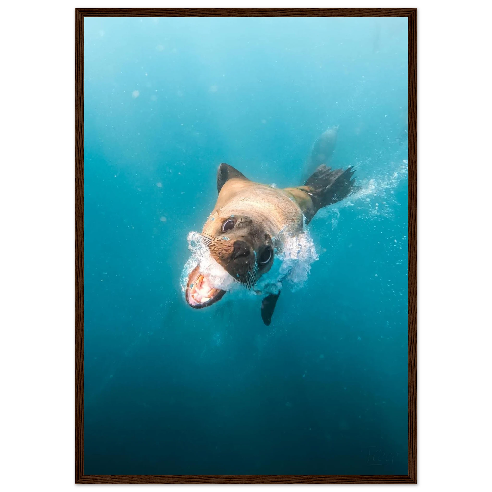 e719a16a-3ba7-4001-acab-e599c4620997