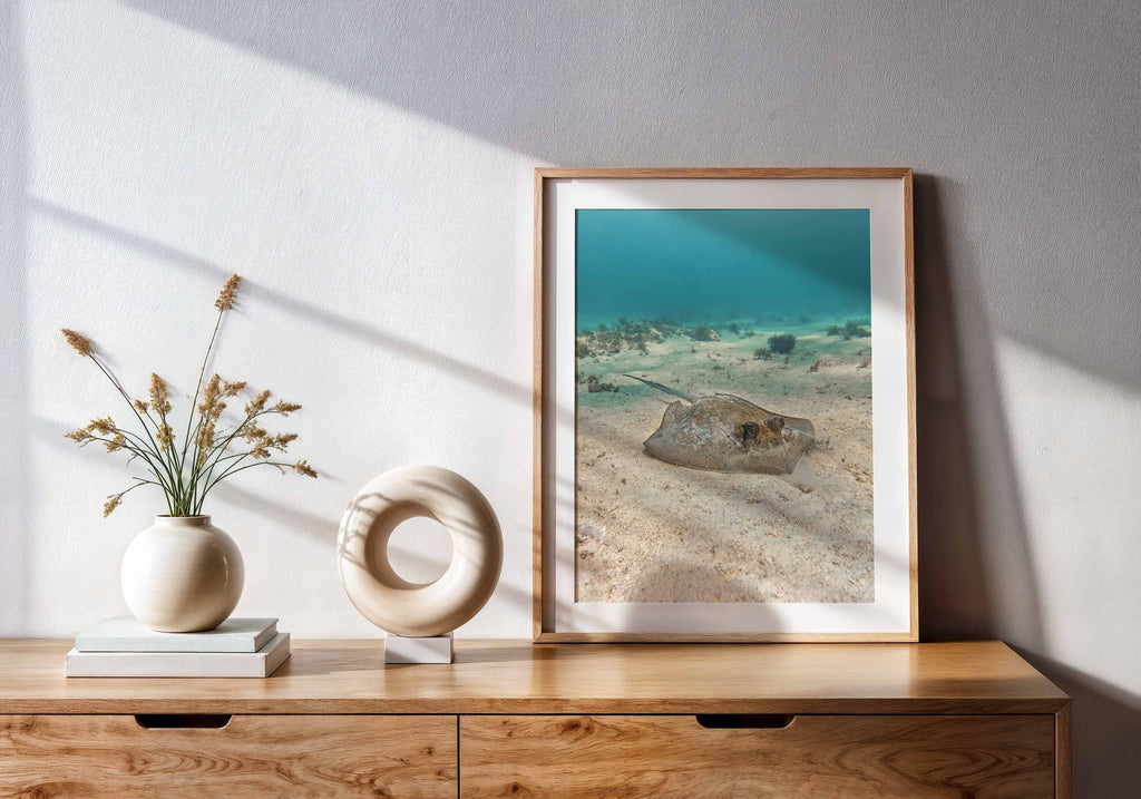 e71fee1b-b3f4-455d-b6fc-8e64cff12dd1