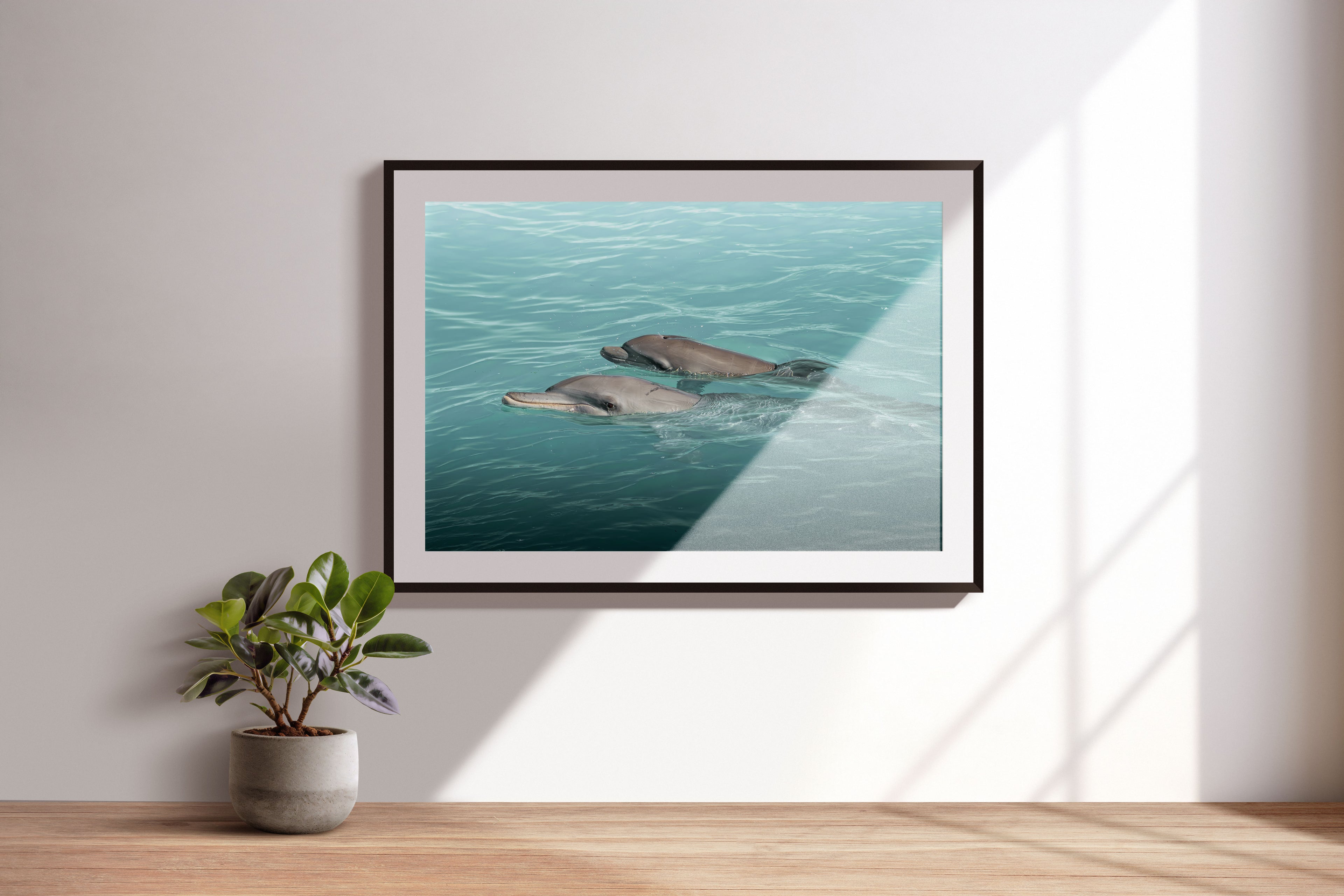 e7ba2810-7a7a-441d-824b-9ac61ead613b