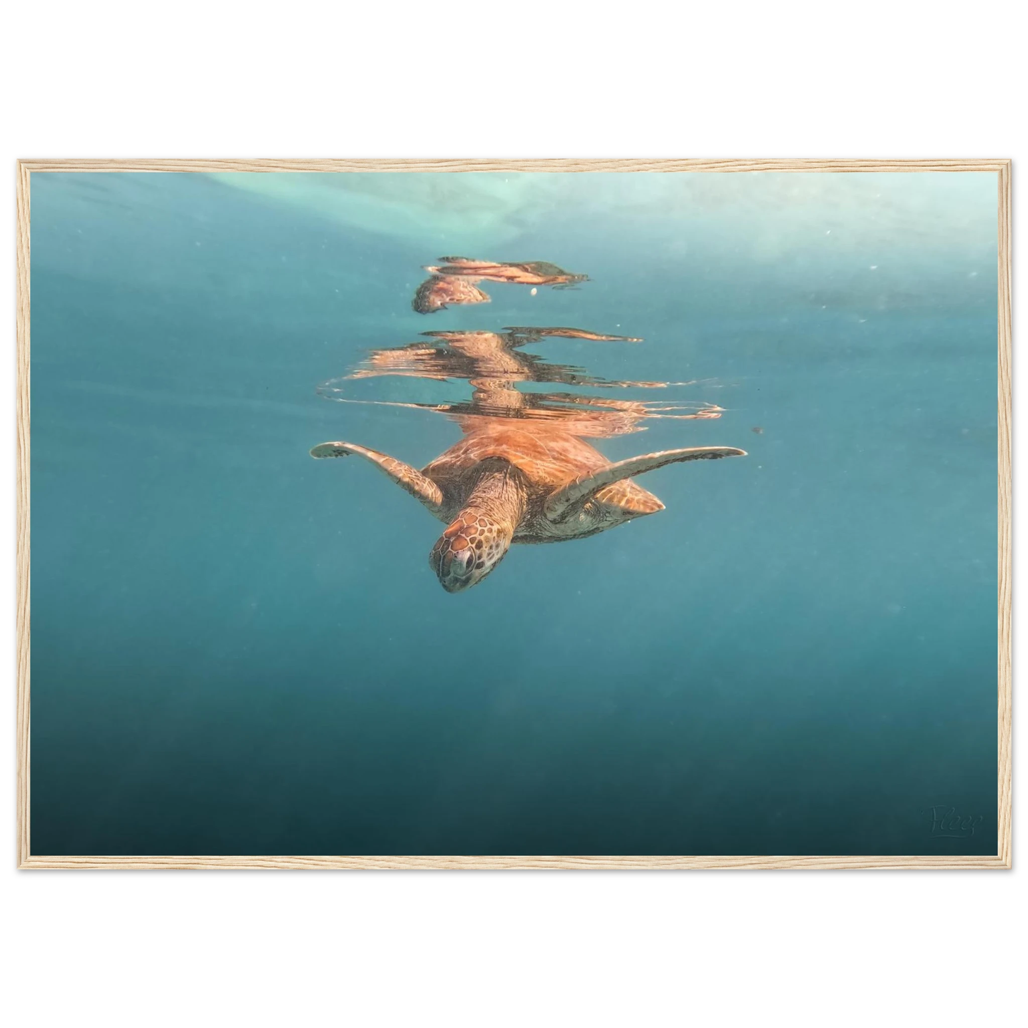 e85b1ace-ea76-4fc3-b7c8-d5cd137389e0