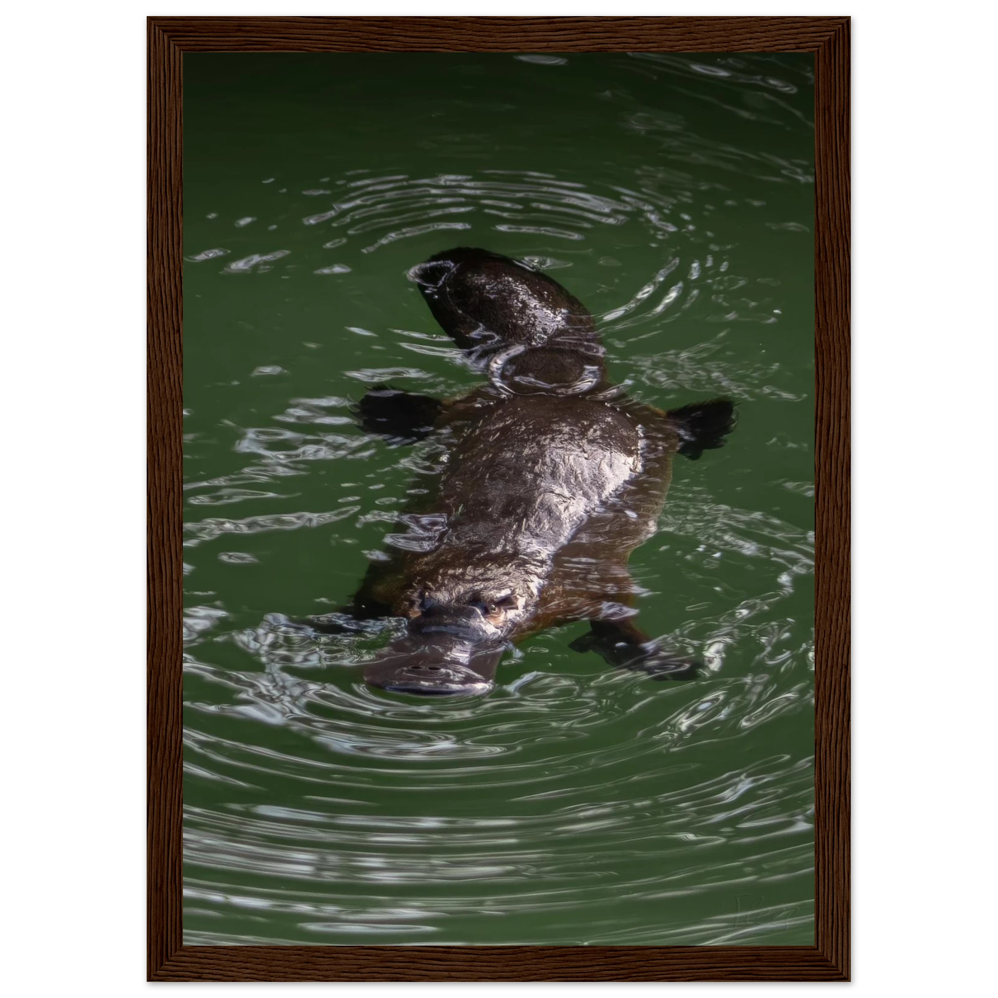 e86453b0-9a69-4904-84b2-15015499e0c4