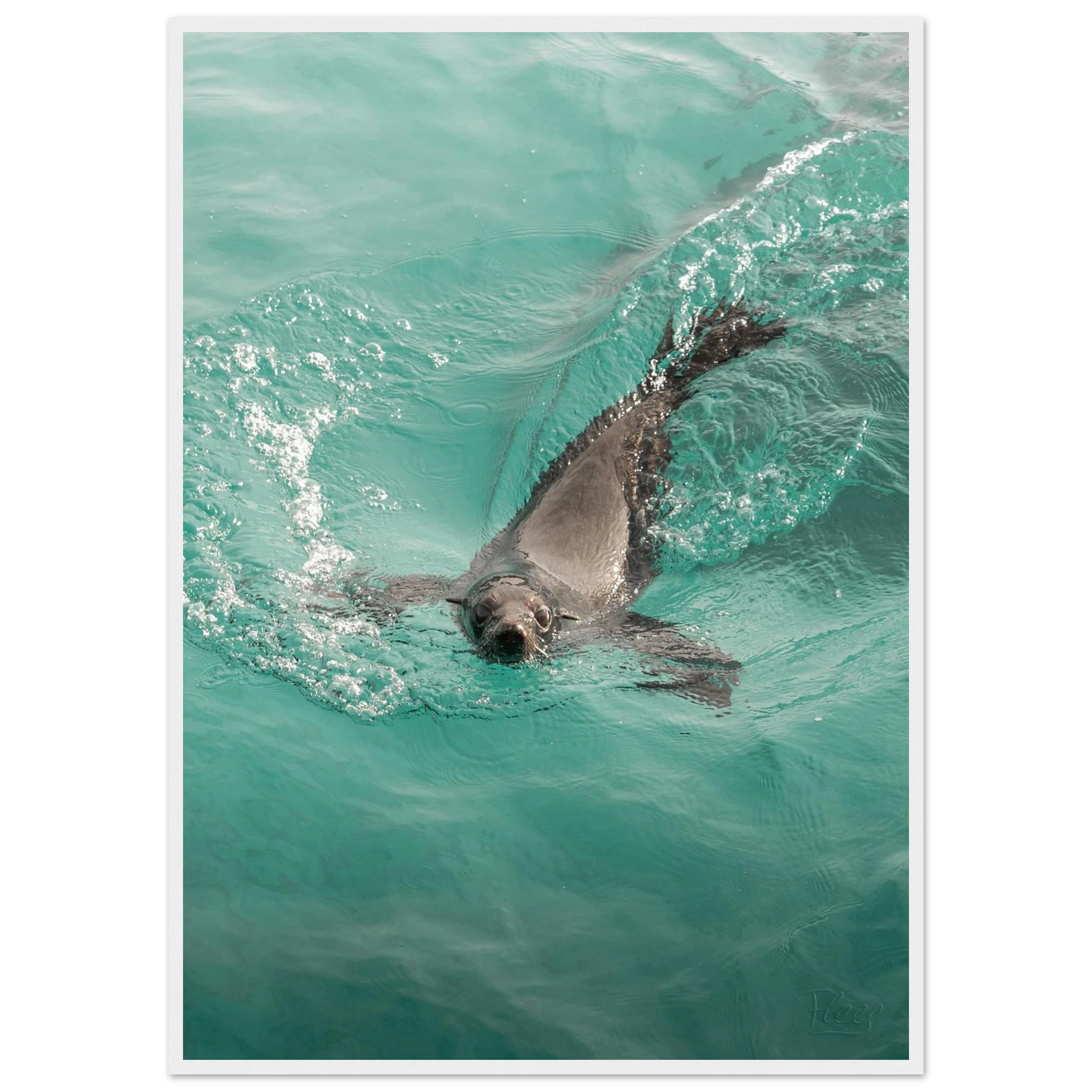 e8c11025-fecf-4153-a083-d89f5bf73fce