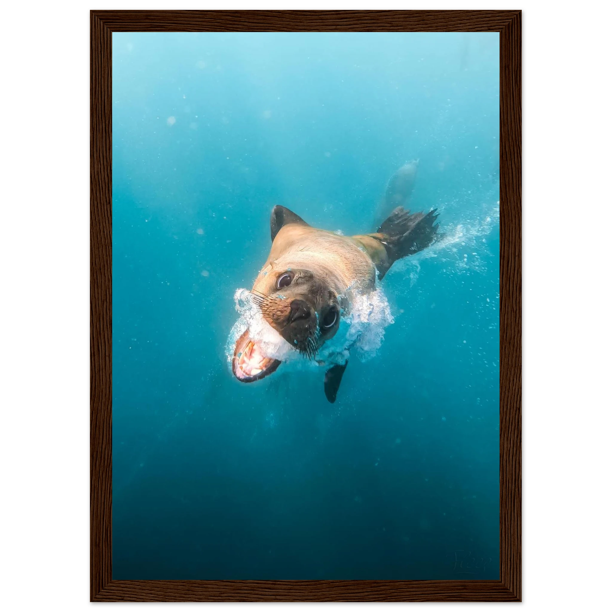 e9775d93-bd10-49cc-bbdc-749d797c0930