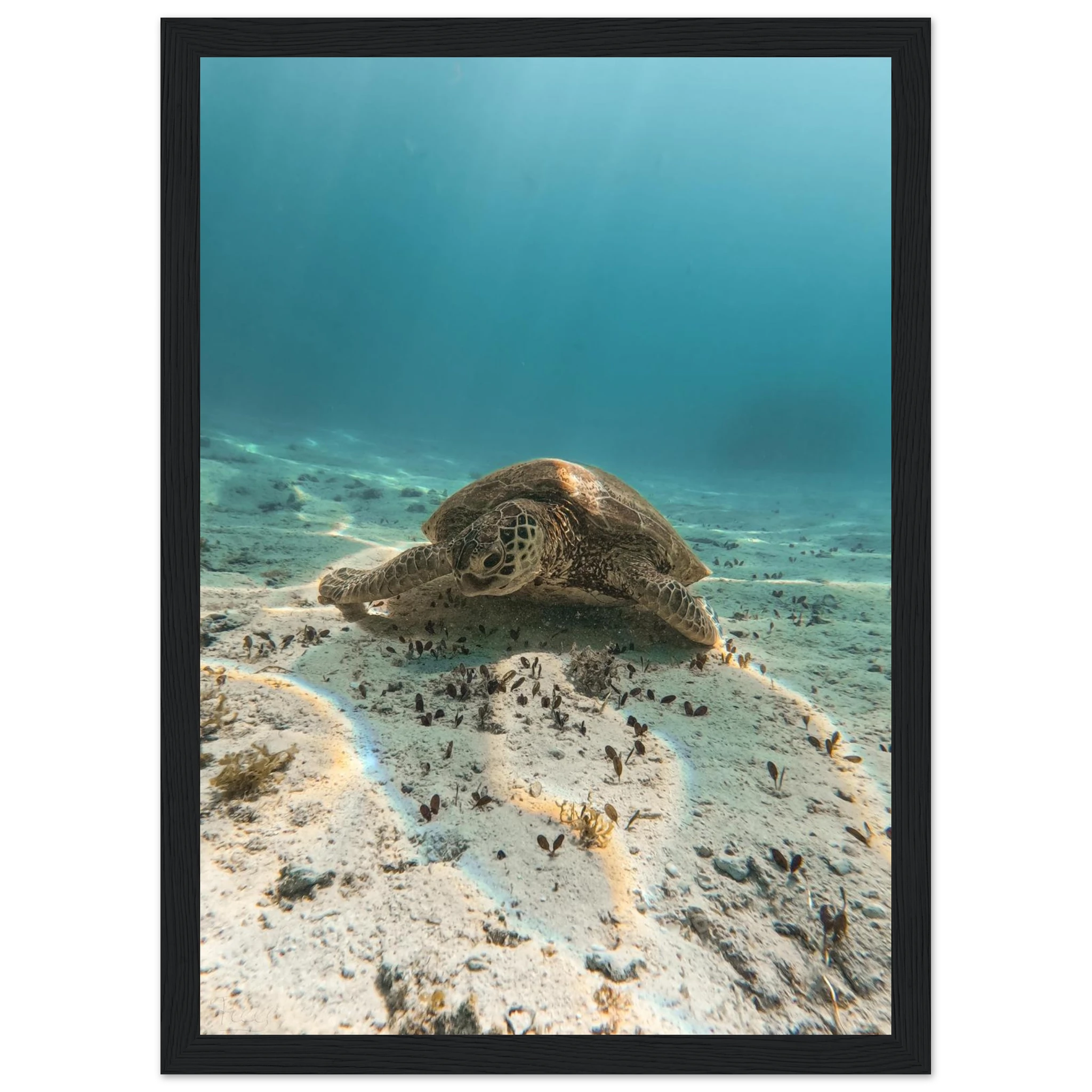 e9b6a7ce-2b0b-4788-bdb6-e91cfd77740d