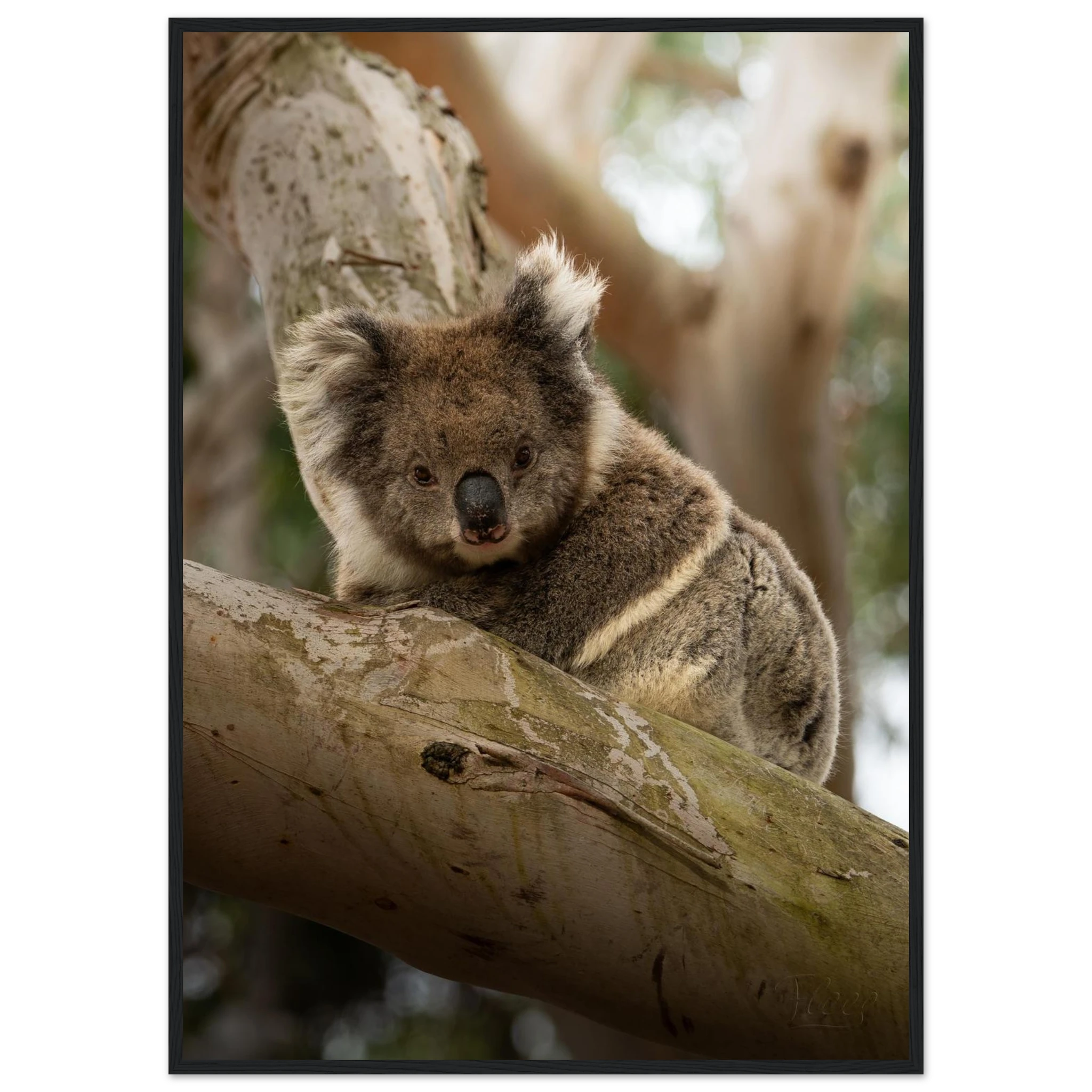 e9d8dd2b-a3df-4de6-ade2-0b0a4844b2ce