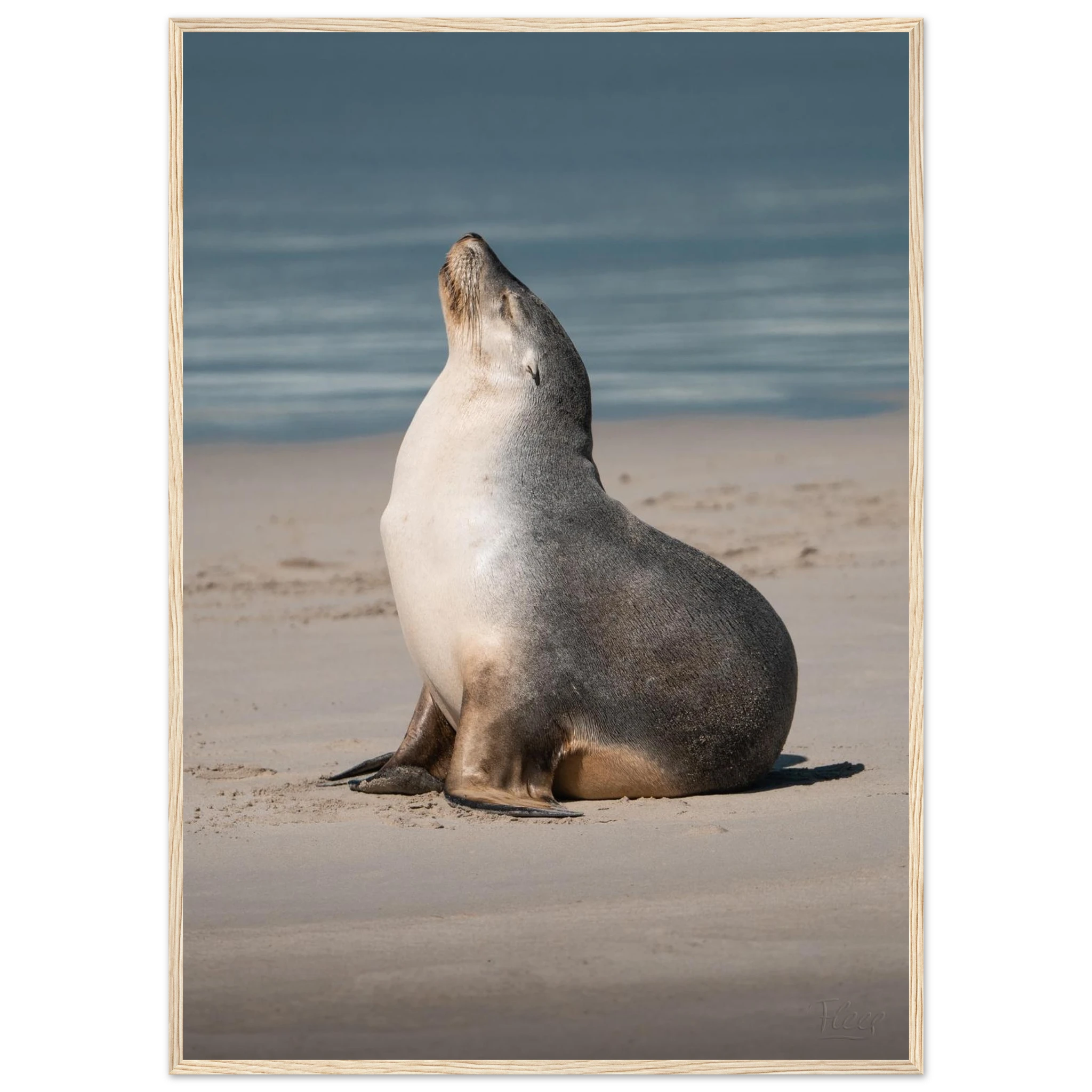 eace50b7-d349-414e-99df-028f669bf3f1