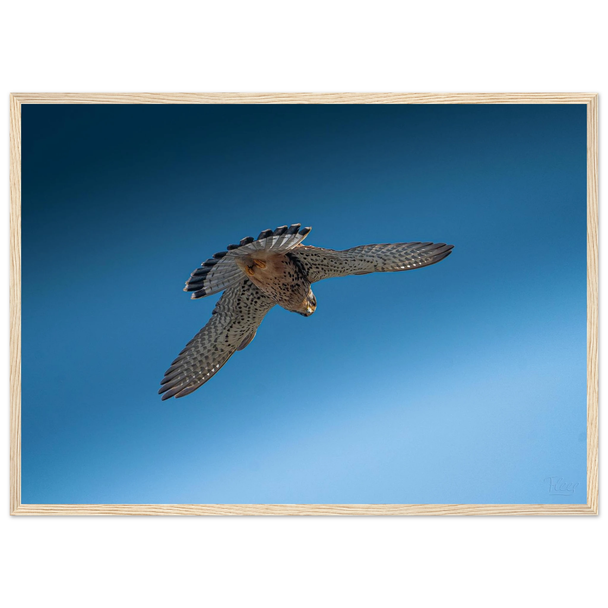 ebabdde9-4d12-407d-bbdd-04ed3df45be6