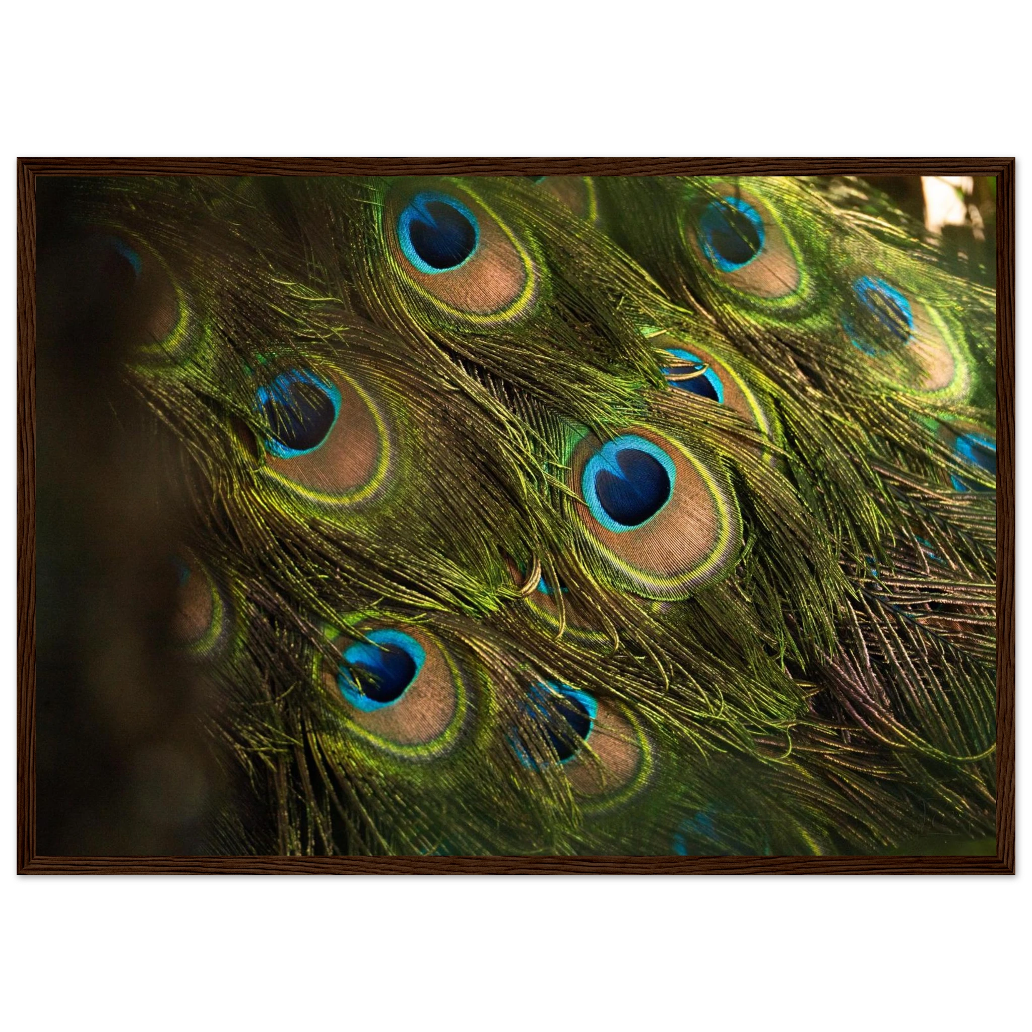 ec57f4eb-5b42-4f7d-832d-56391a1d1a05