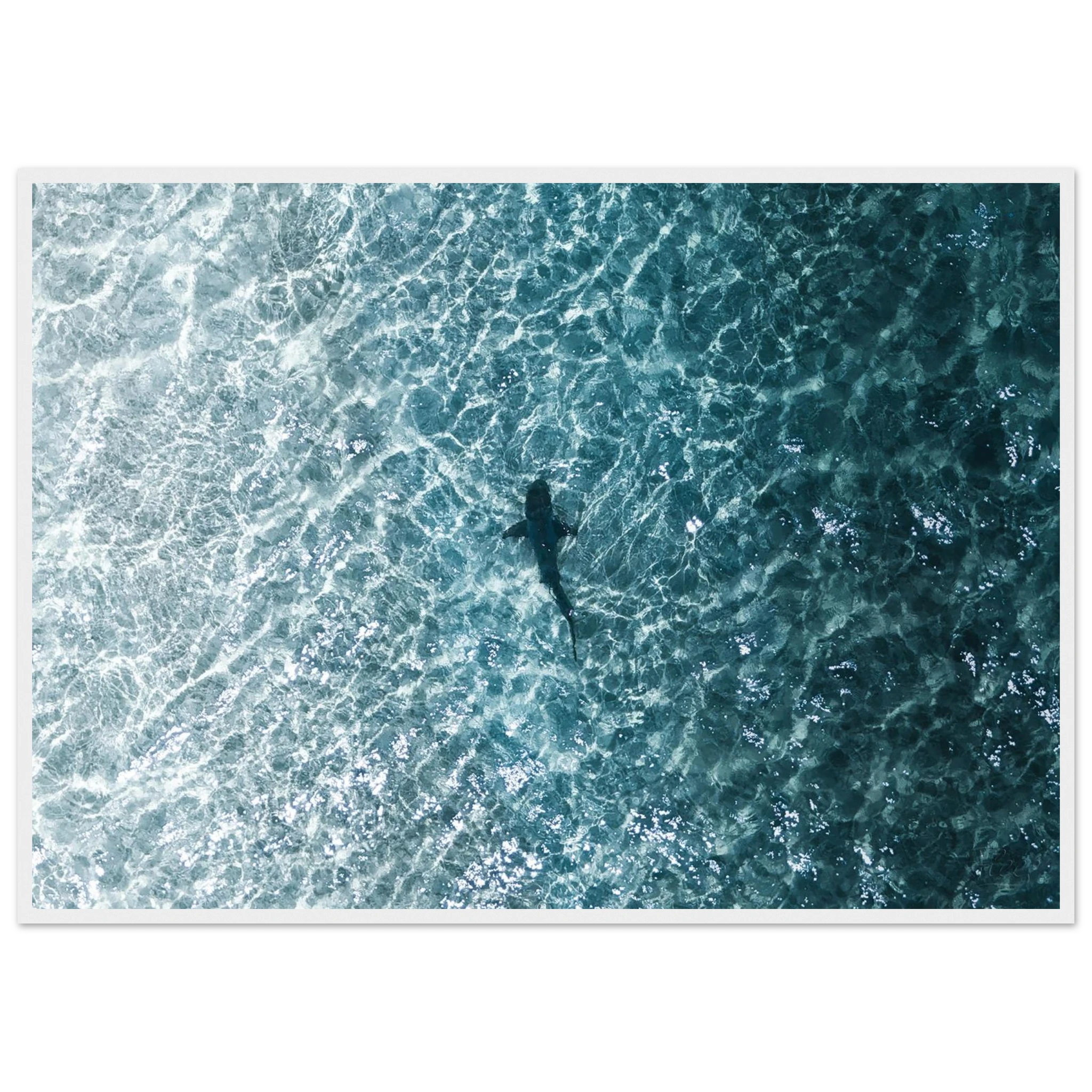 ec84a183-237c-492a-b886-351c341f2a37