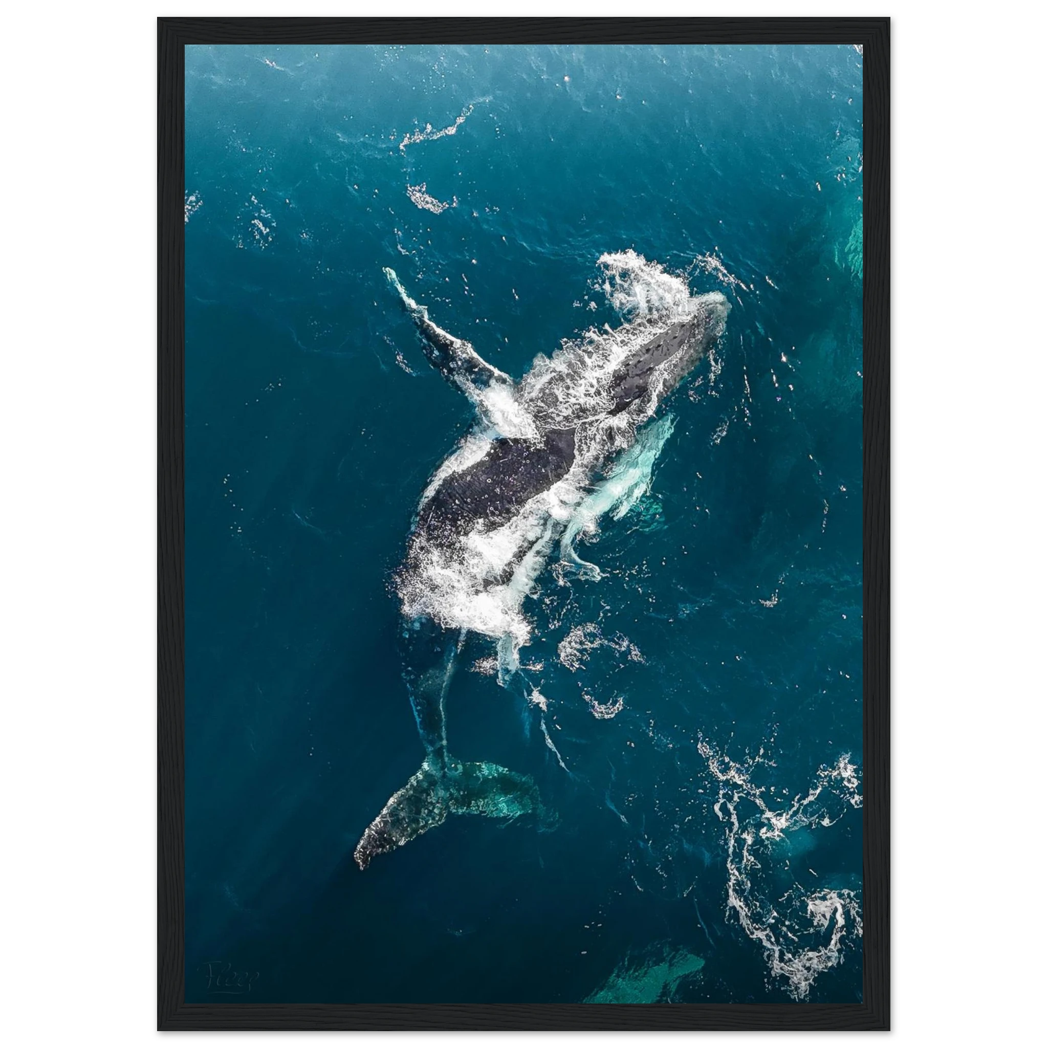 ee236adb-4d1f-4002-a90e-59d0a3c1b1ce