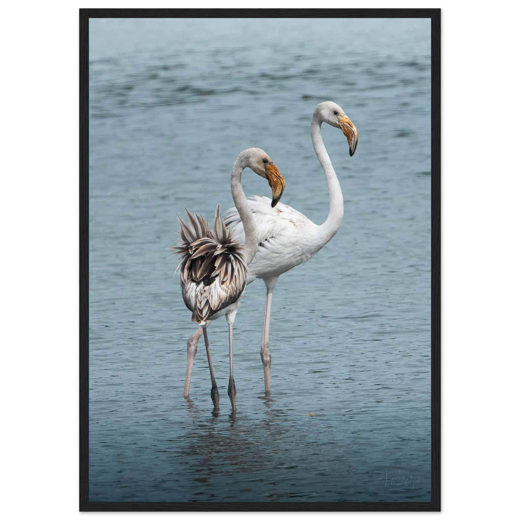 ee2775a6-f594-44dc-8d3a-5a23deee8b13