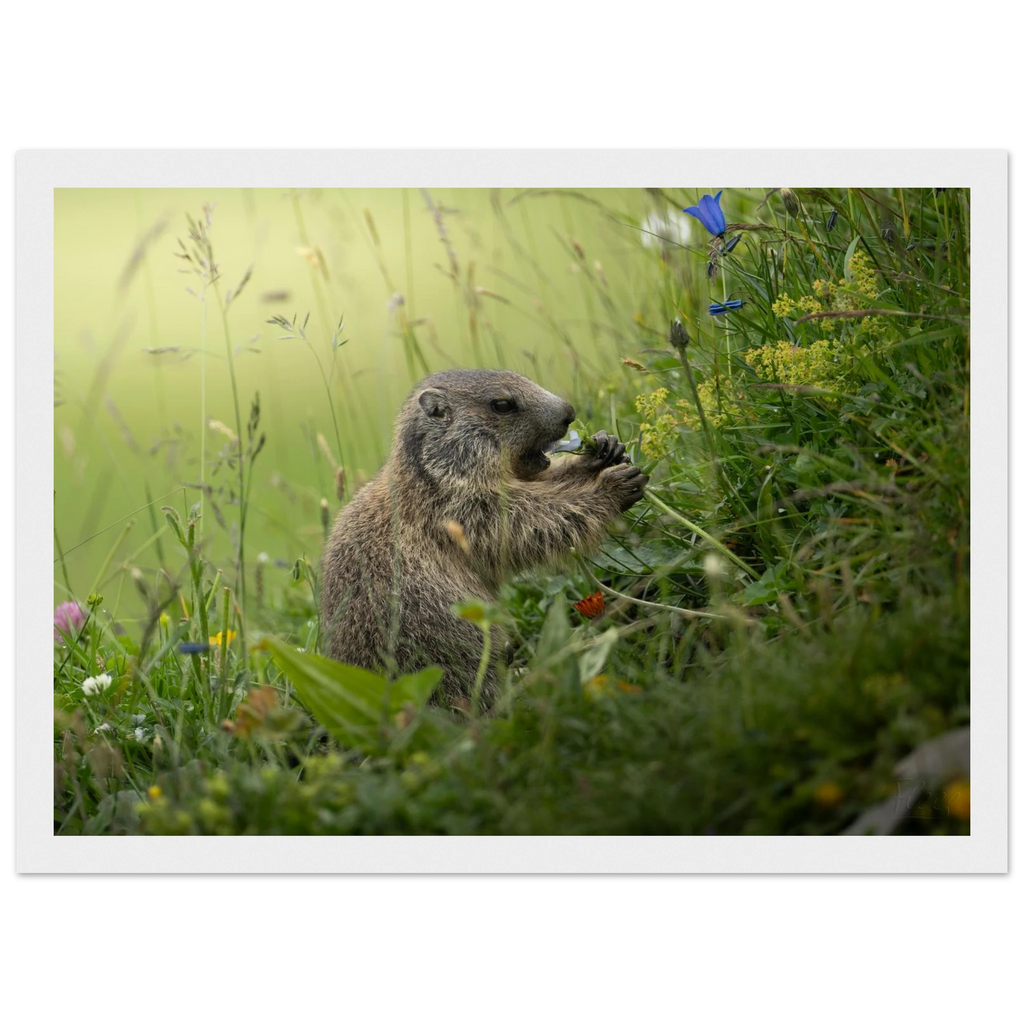 eeaa0b83-b2b4-4400-804b-46ab9b5995ba