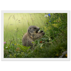 eeaa0b83-b2b4-4400-804b-46ab9b5995ba