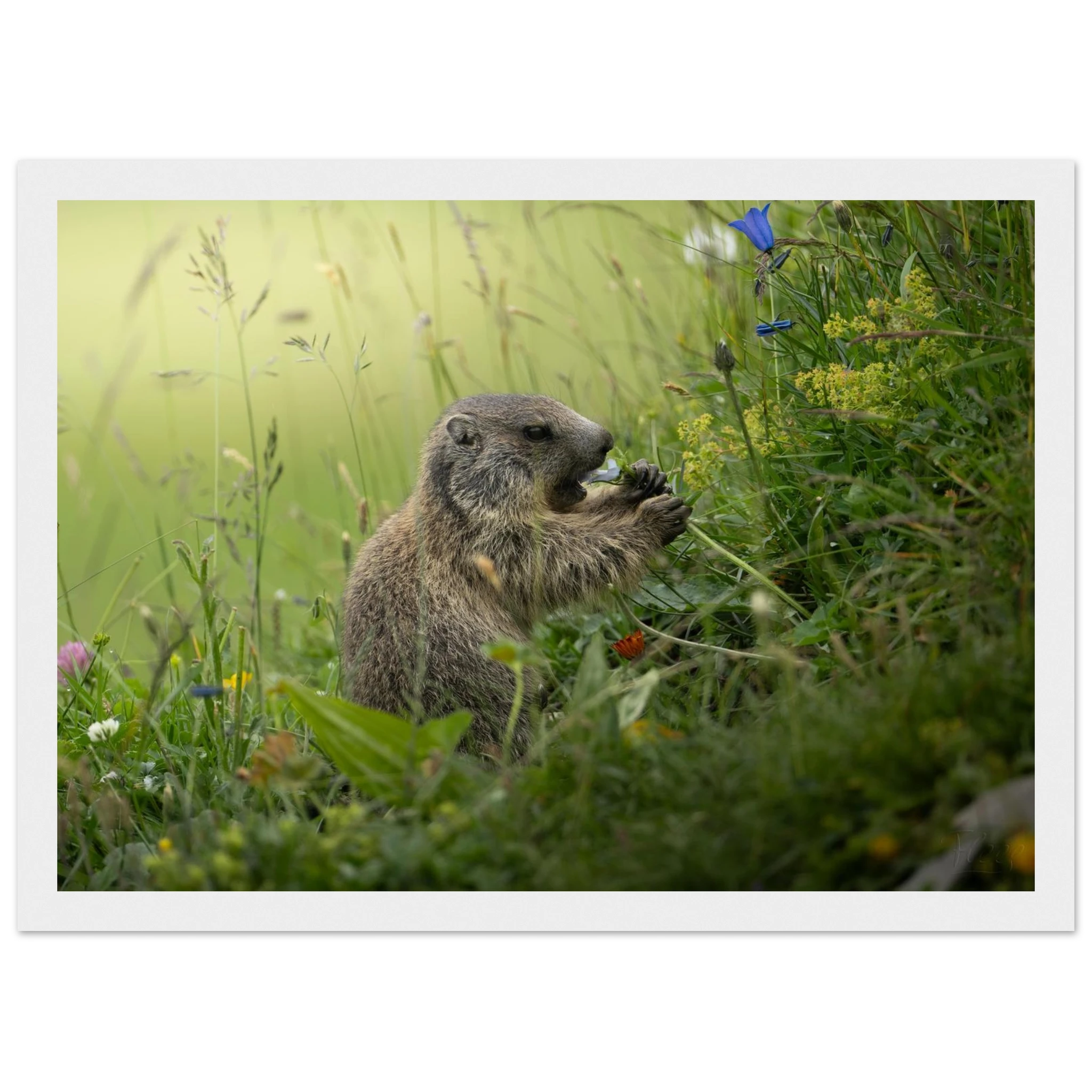 eeaa0b83-b2b4-4400-804b-46ab9b5995ba