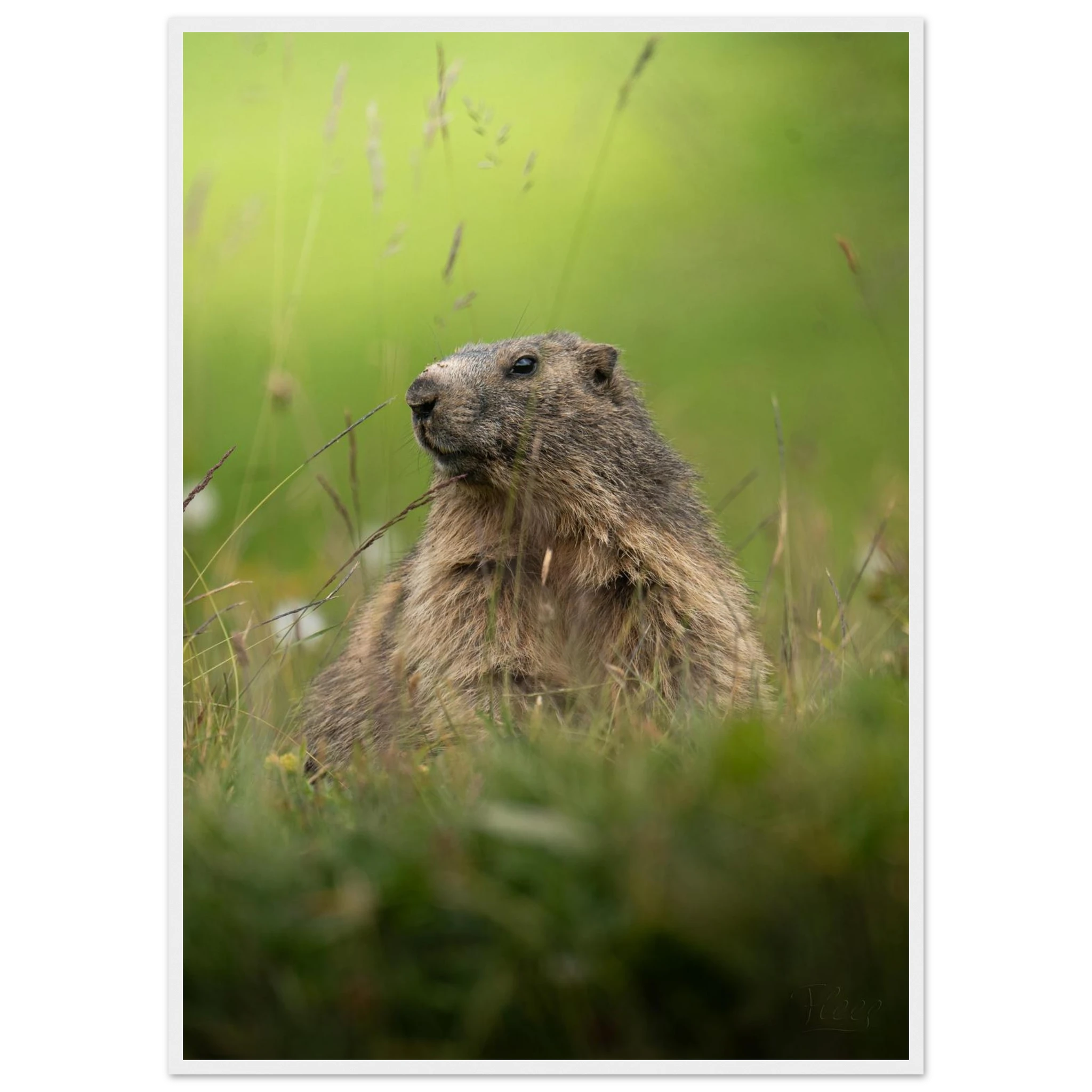 eed67047-414c-4a93-9b34-b791be05fdec