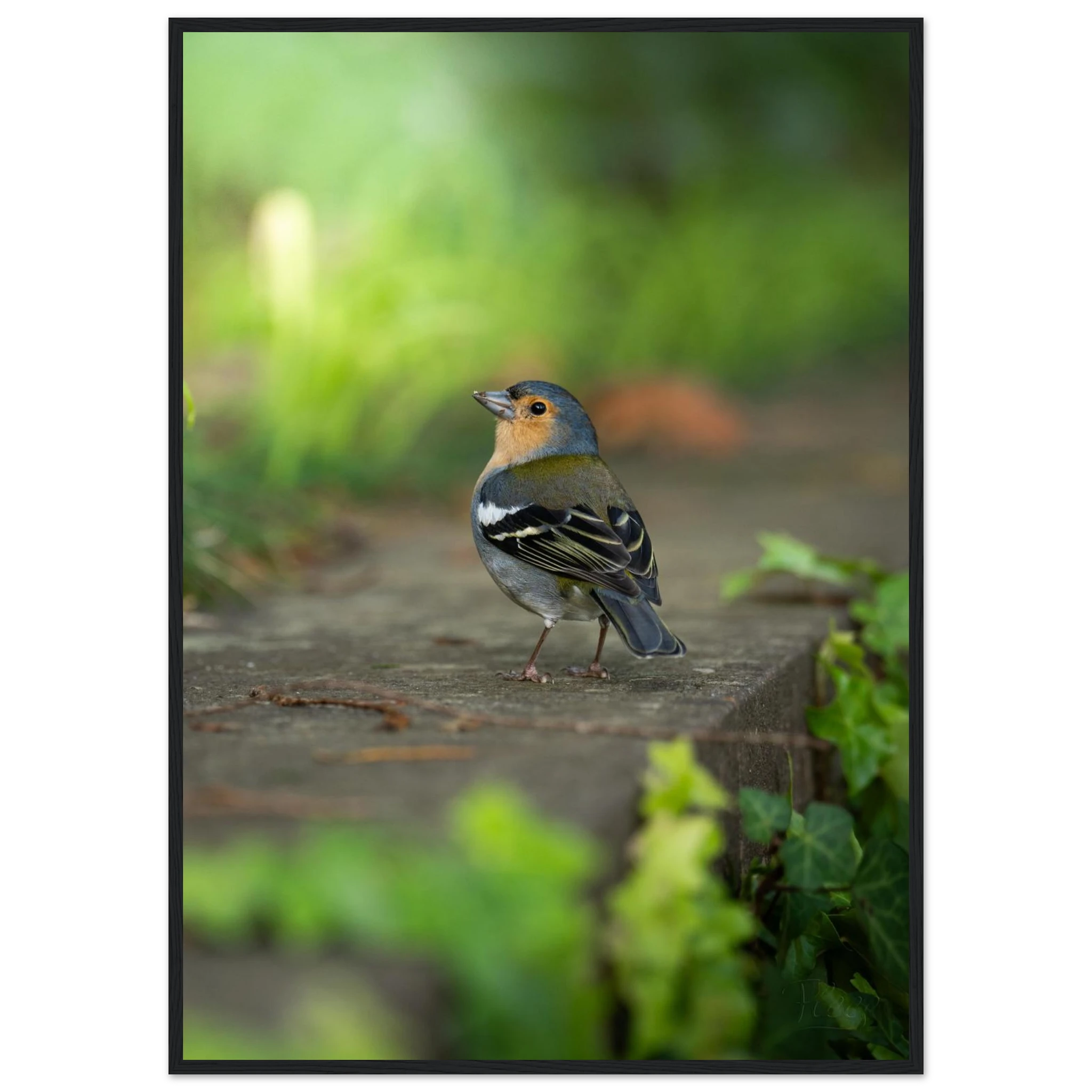 ef5d40d7-fff8-425c-a4bc-3589c95067be