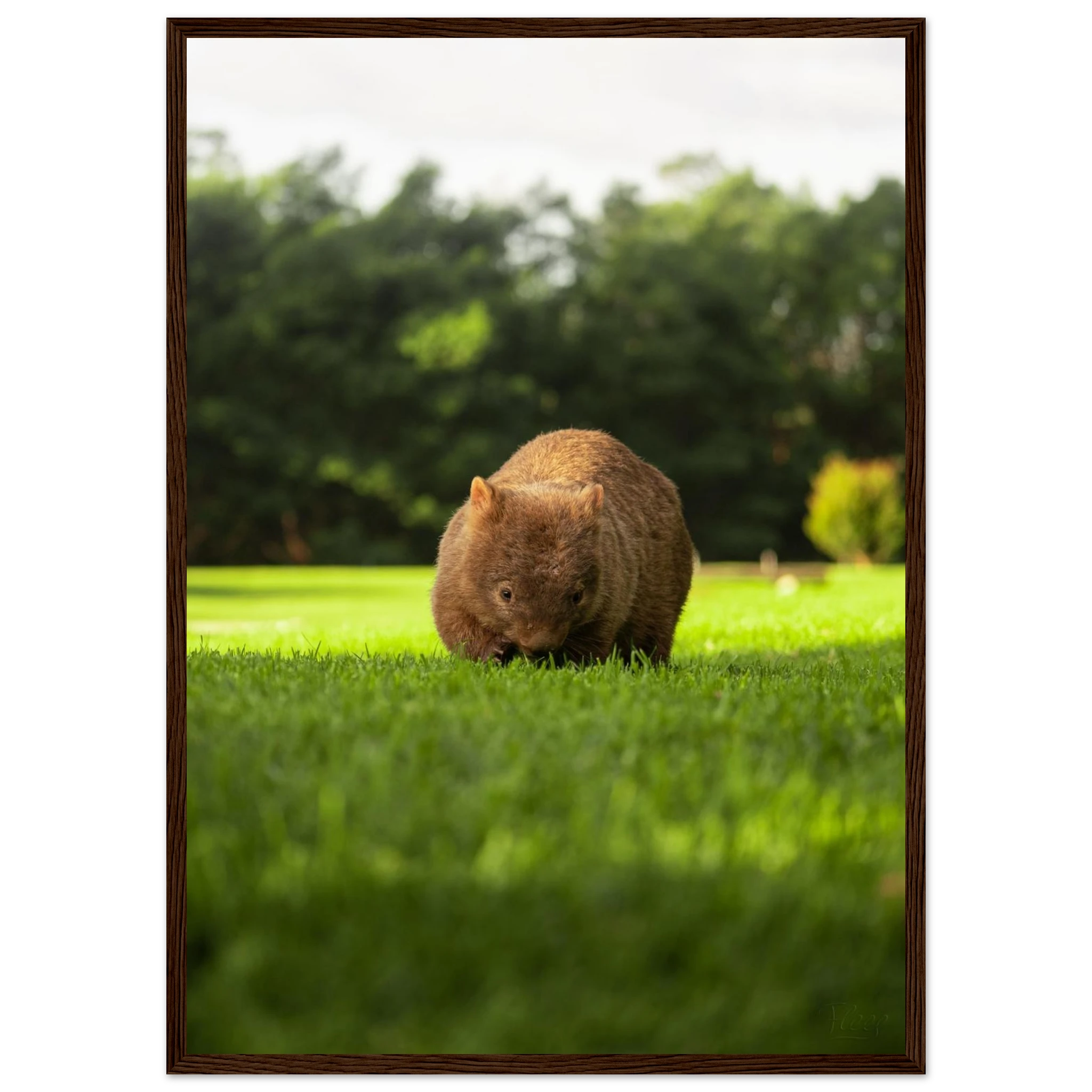 efa85374-85c9-4fe0-99bb-a8bf79371232