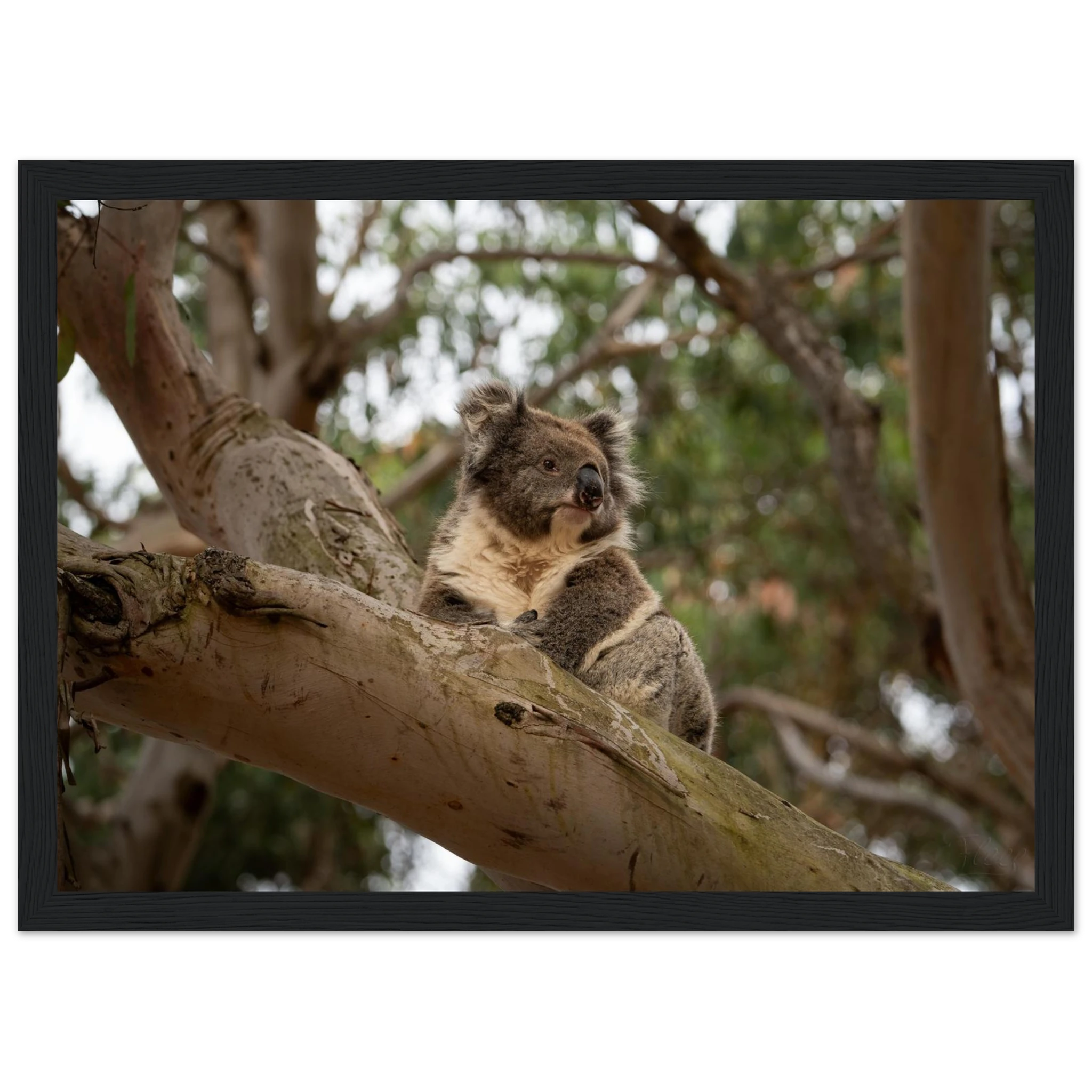 f05b55cb-8949-4ea3-b34c-657a66b8bb62