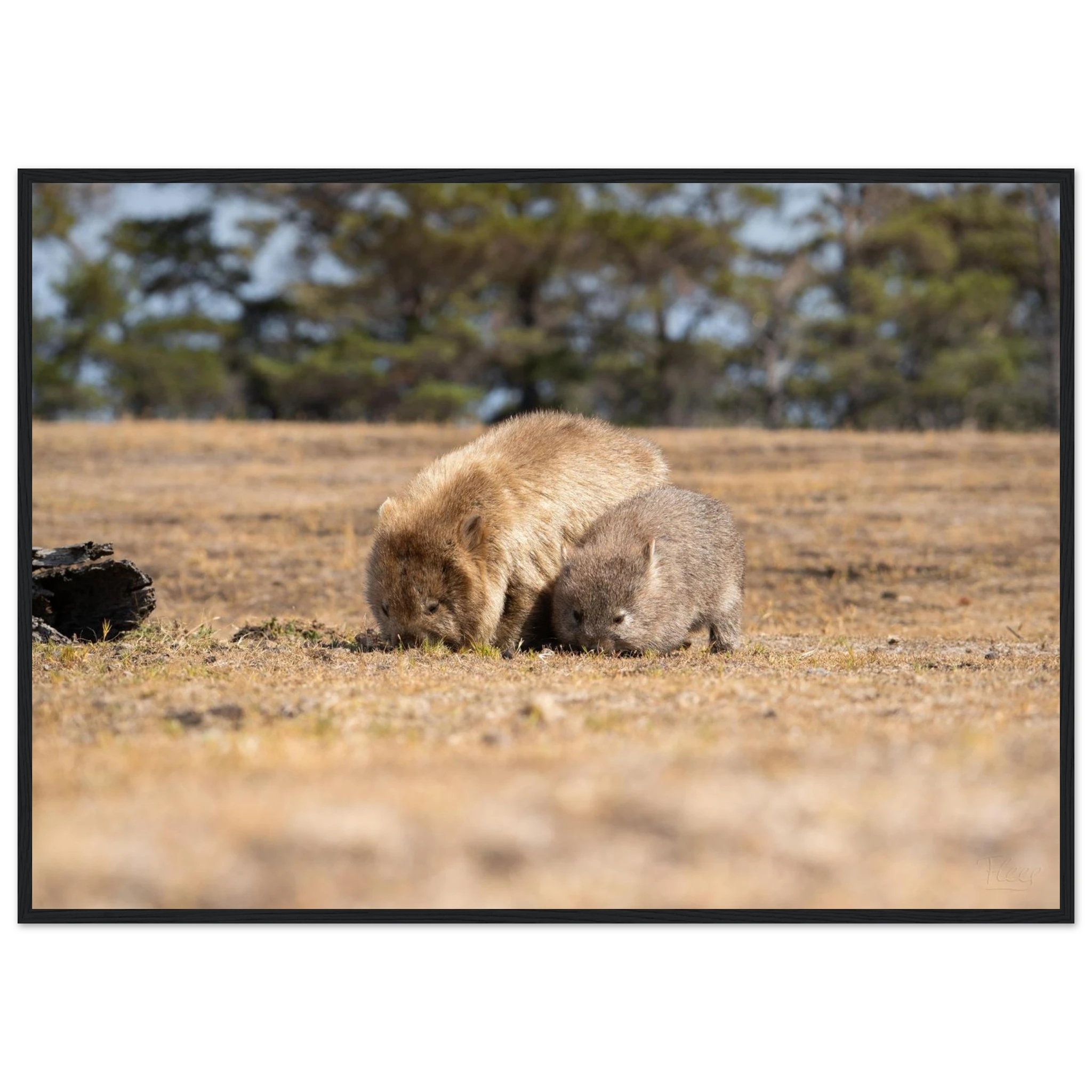 f0694dcc-d3e8-4369-a36b-0e1e5b3f56d9