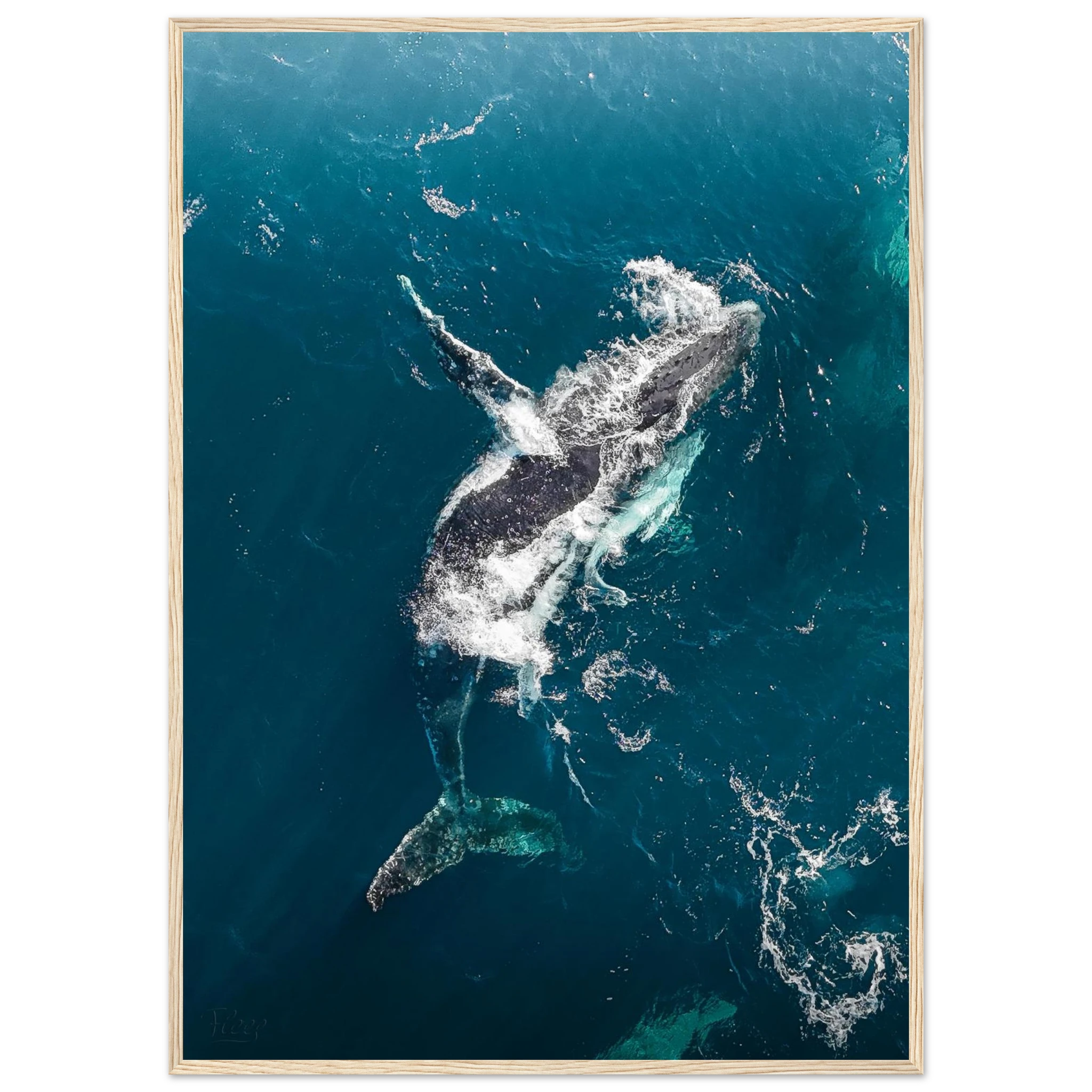 f06b8dd8-2afa-48a1-83ec-bd75cae92775