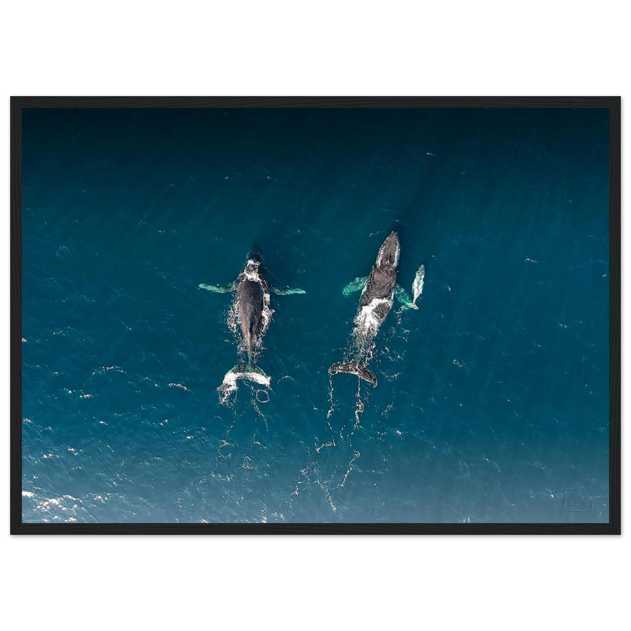 f13642cc-3e7d-4220-b6f3-bb1cbf619455