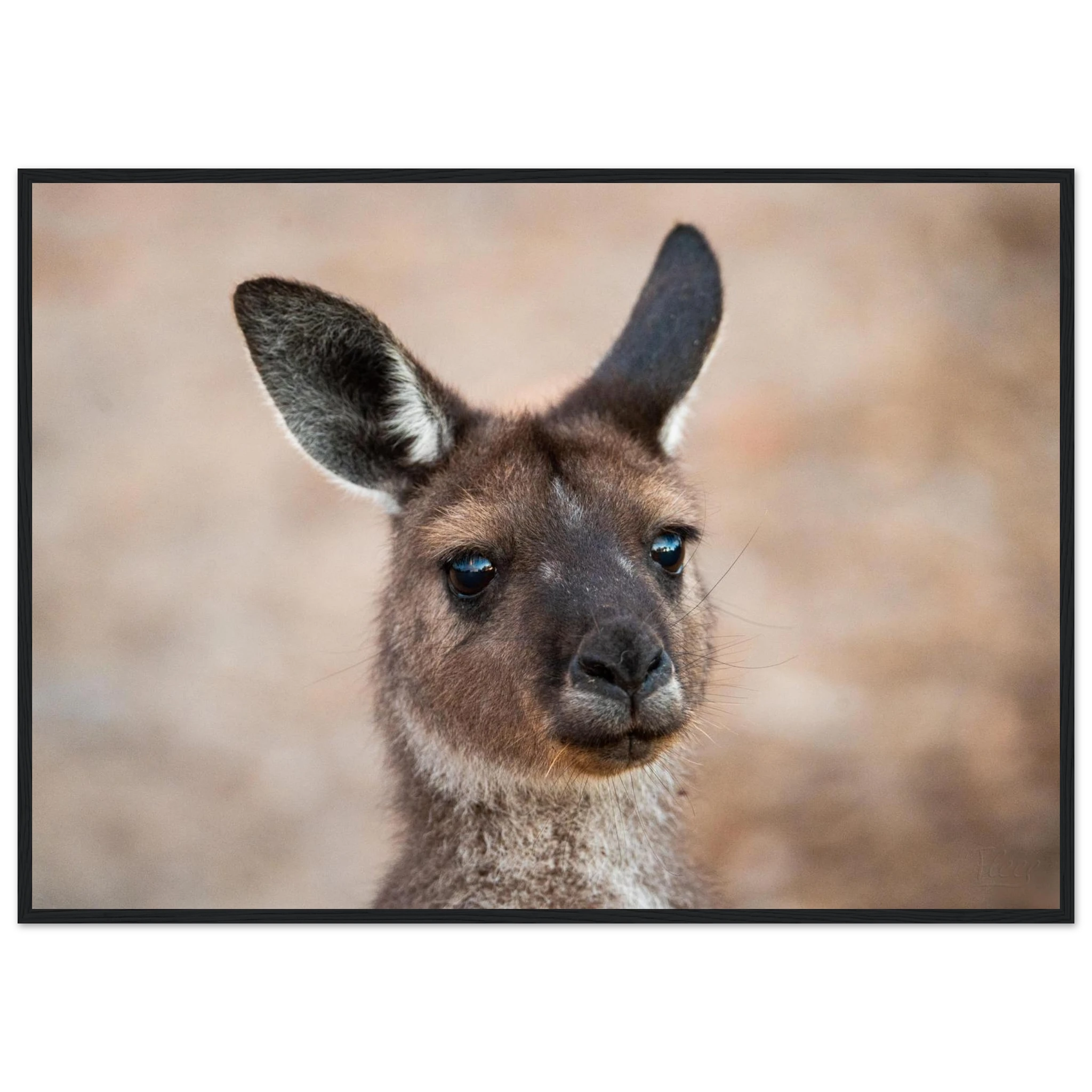 f3568307-6391-470f-aa6e-18781e7d9648