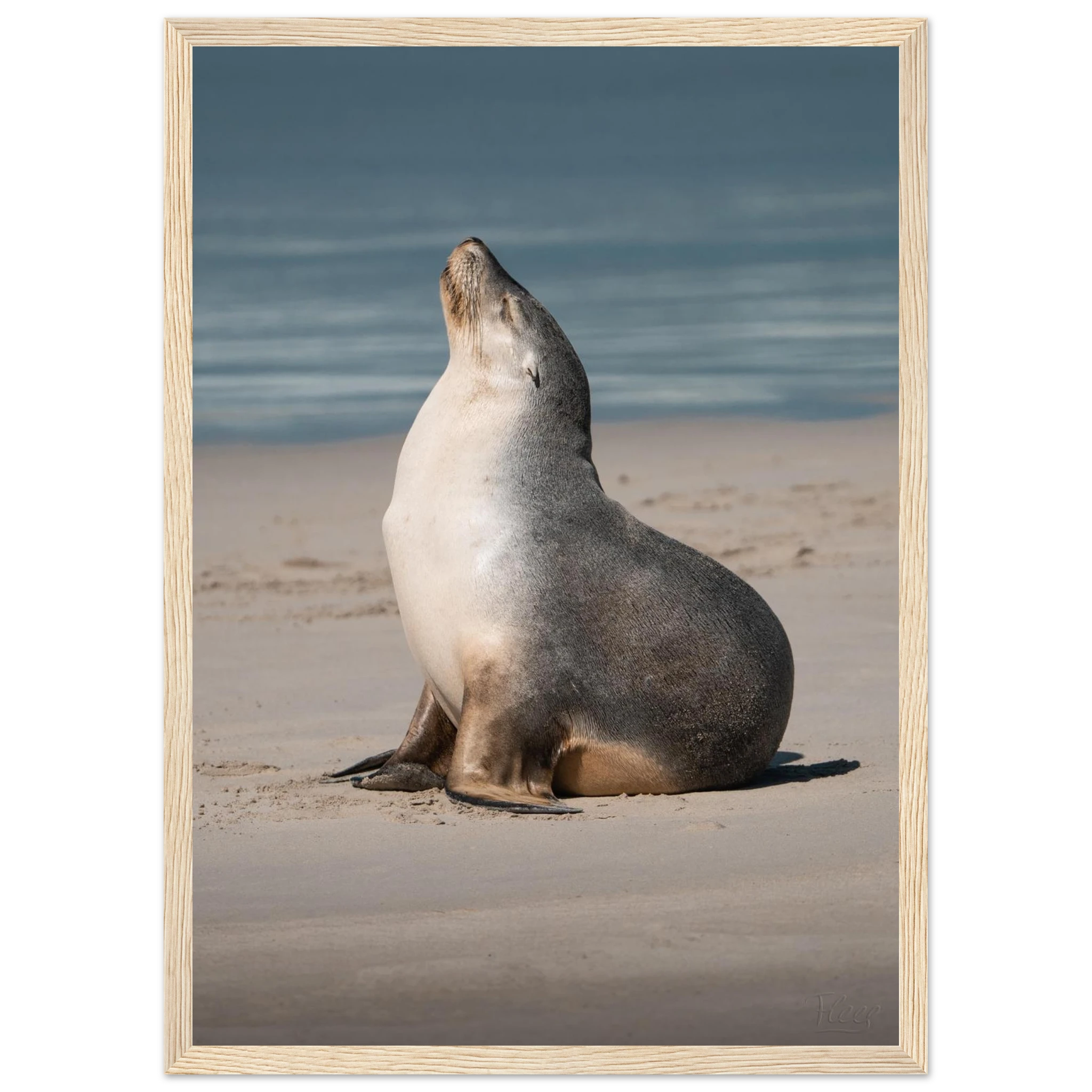 f3923d74-a9af-4d43-8abe-470e7acf9120