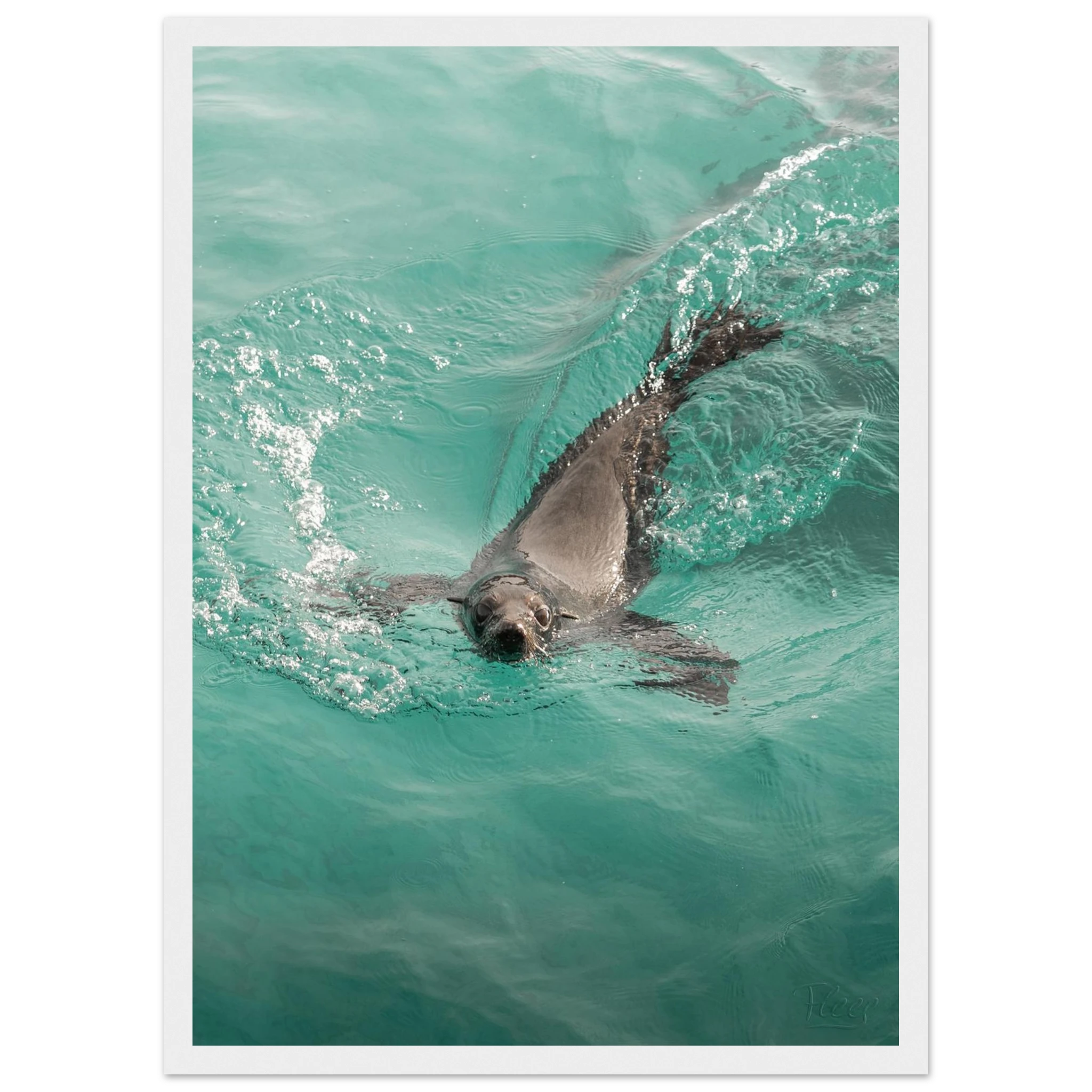 f3aec6e7-af98-4021-8c9e-e95a85489552