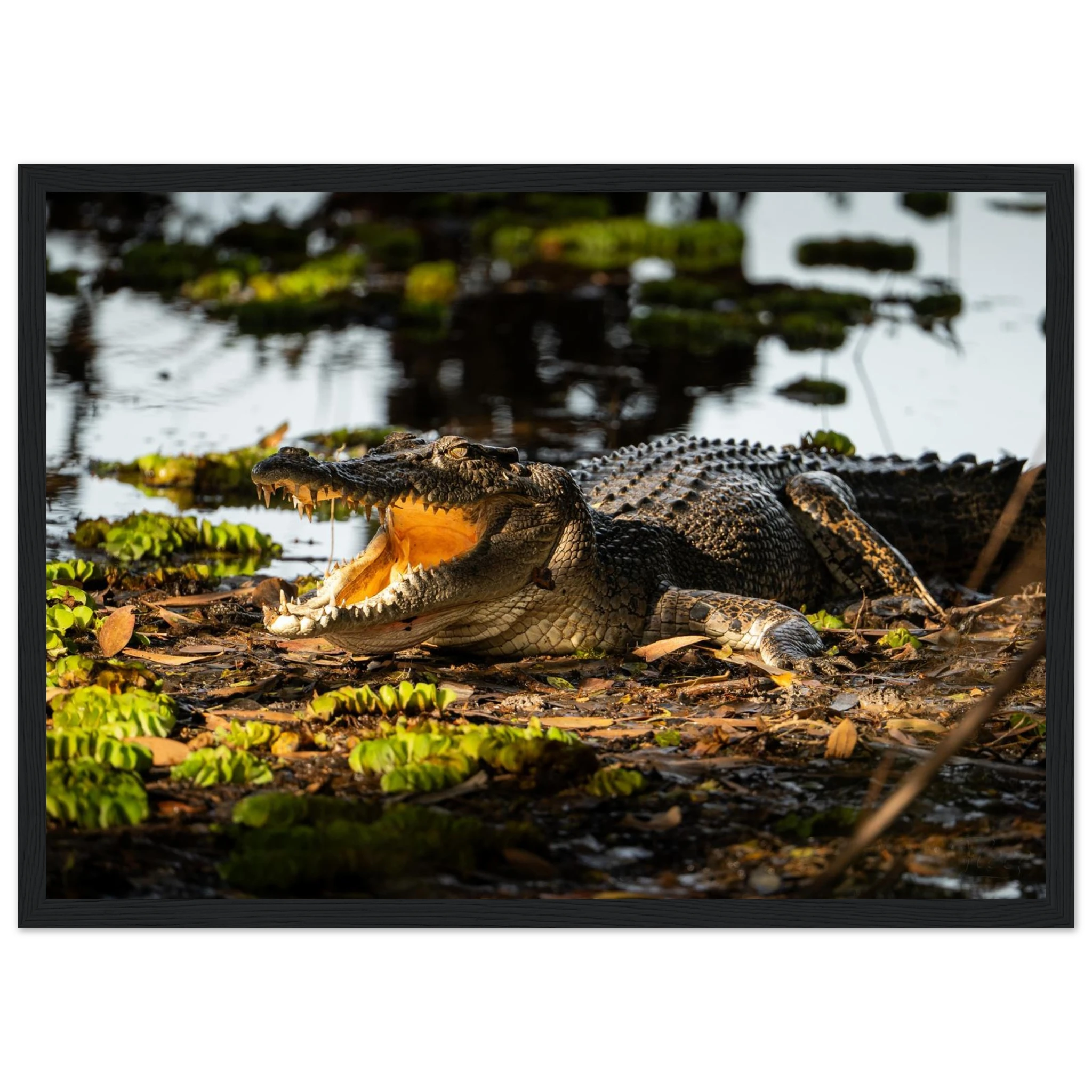 f4588b81-6e90-4a5f-8695-fc7b340c3f70