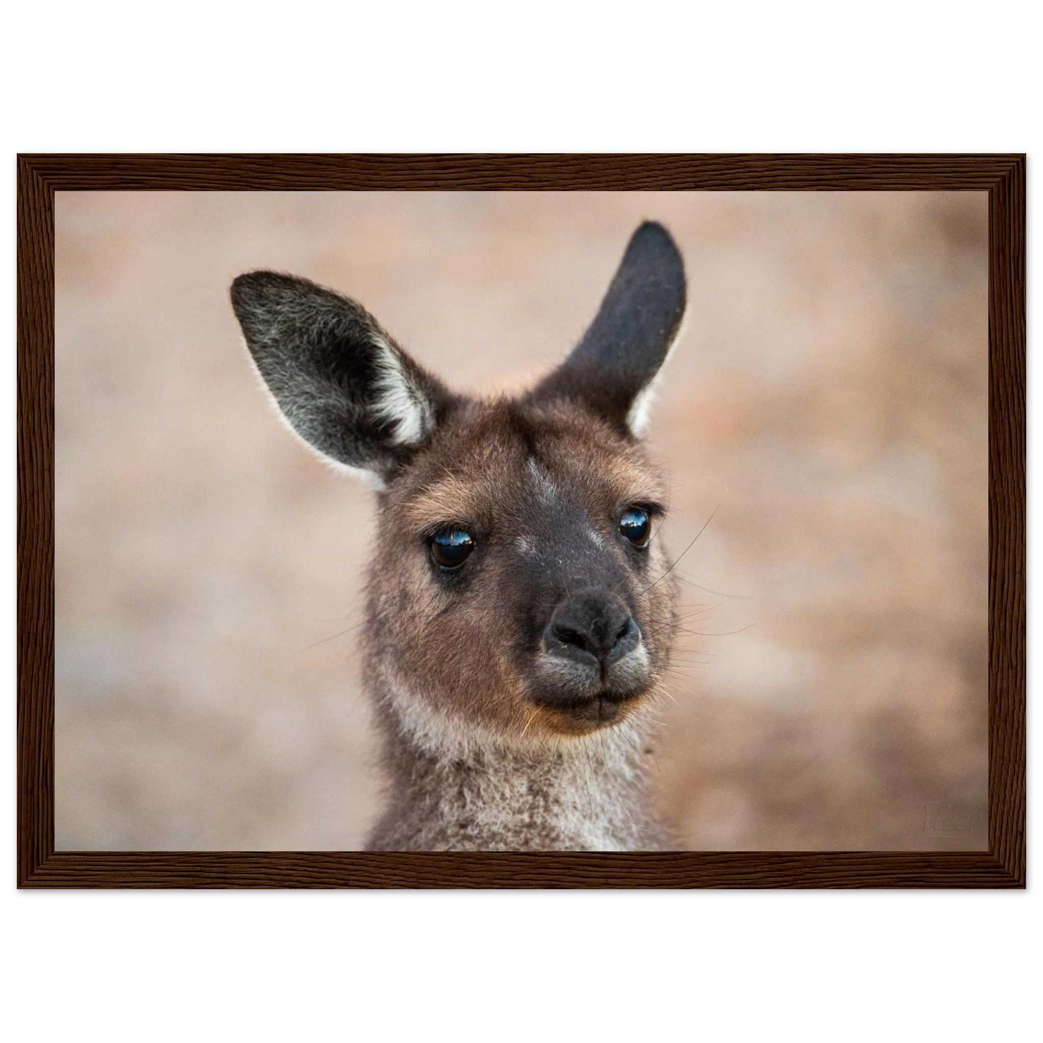 f4a3ddf3-4b35-4ed0-8fd0-048947b9e96a