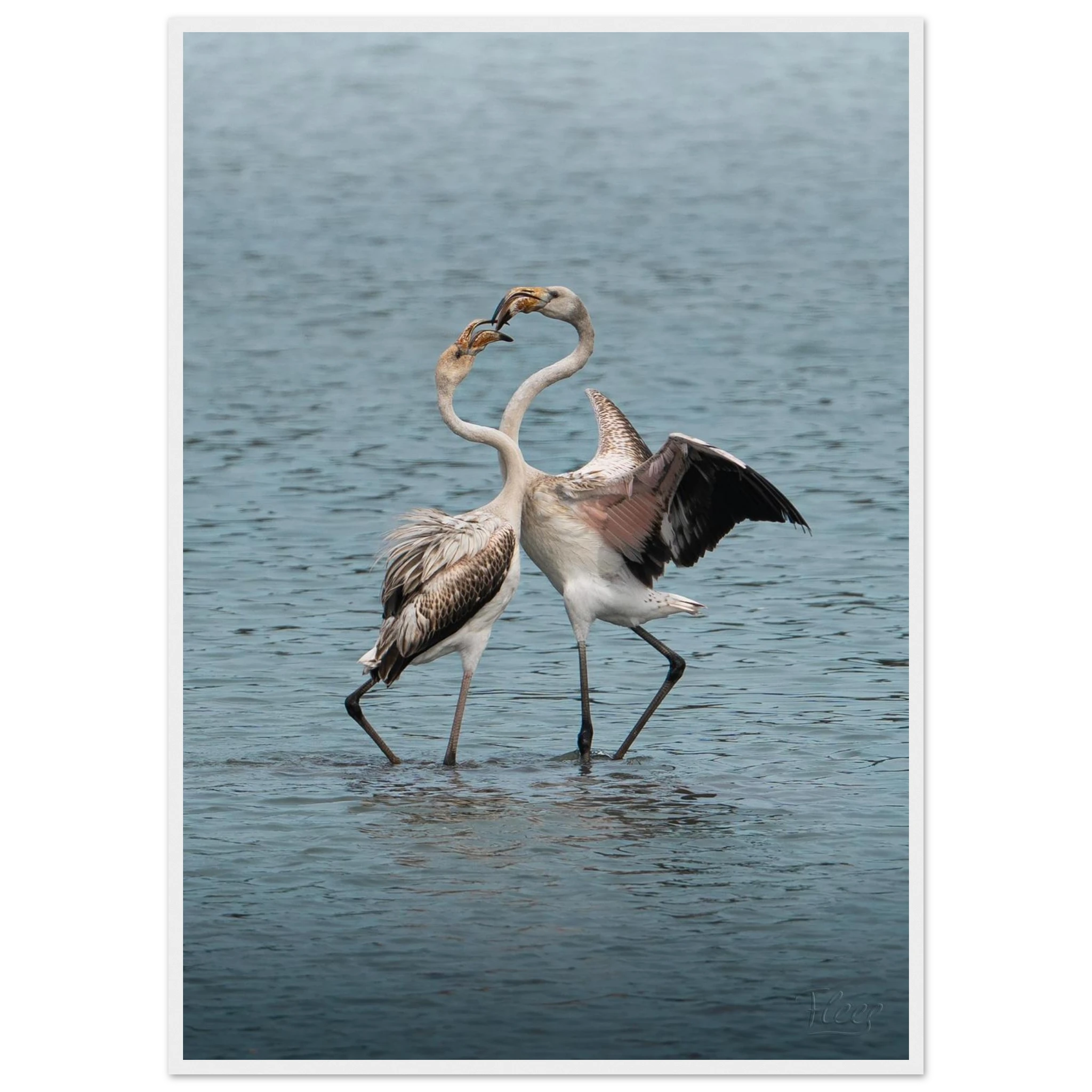 f4f4fa62-631b-43ef-8a11-40f39563b97a