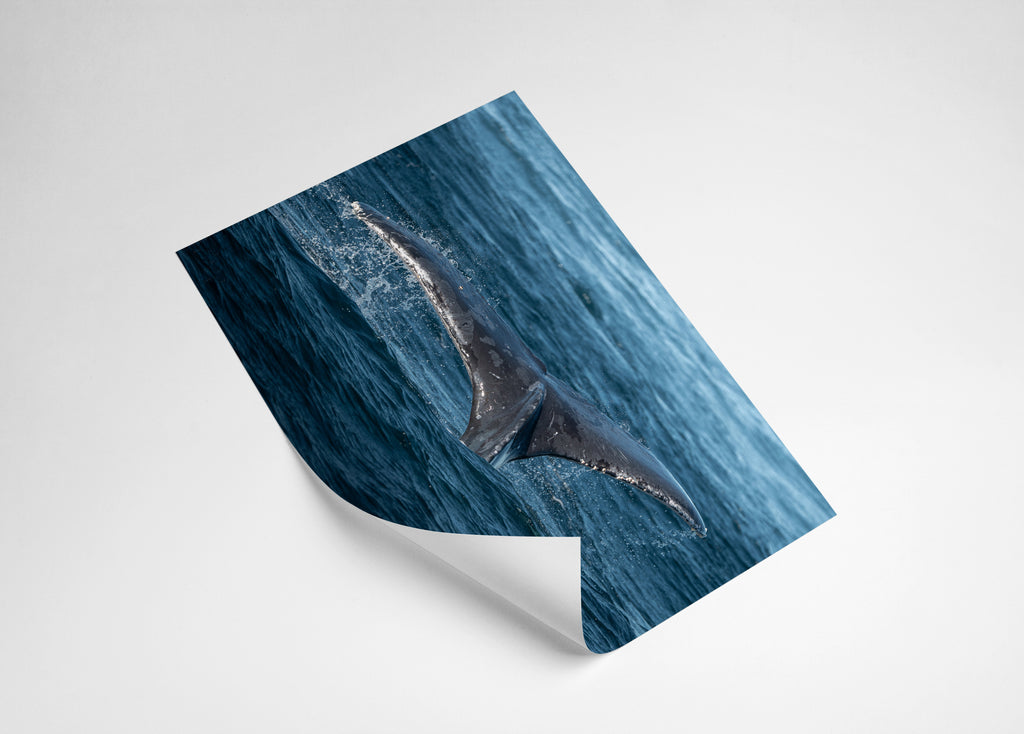 f6ba4ea7-65b9-4f7e-ac5d-b183397e6e7b
