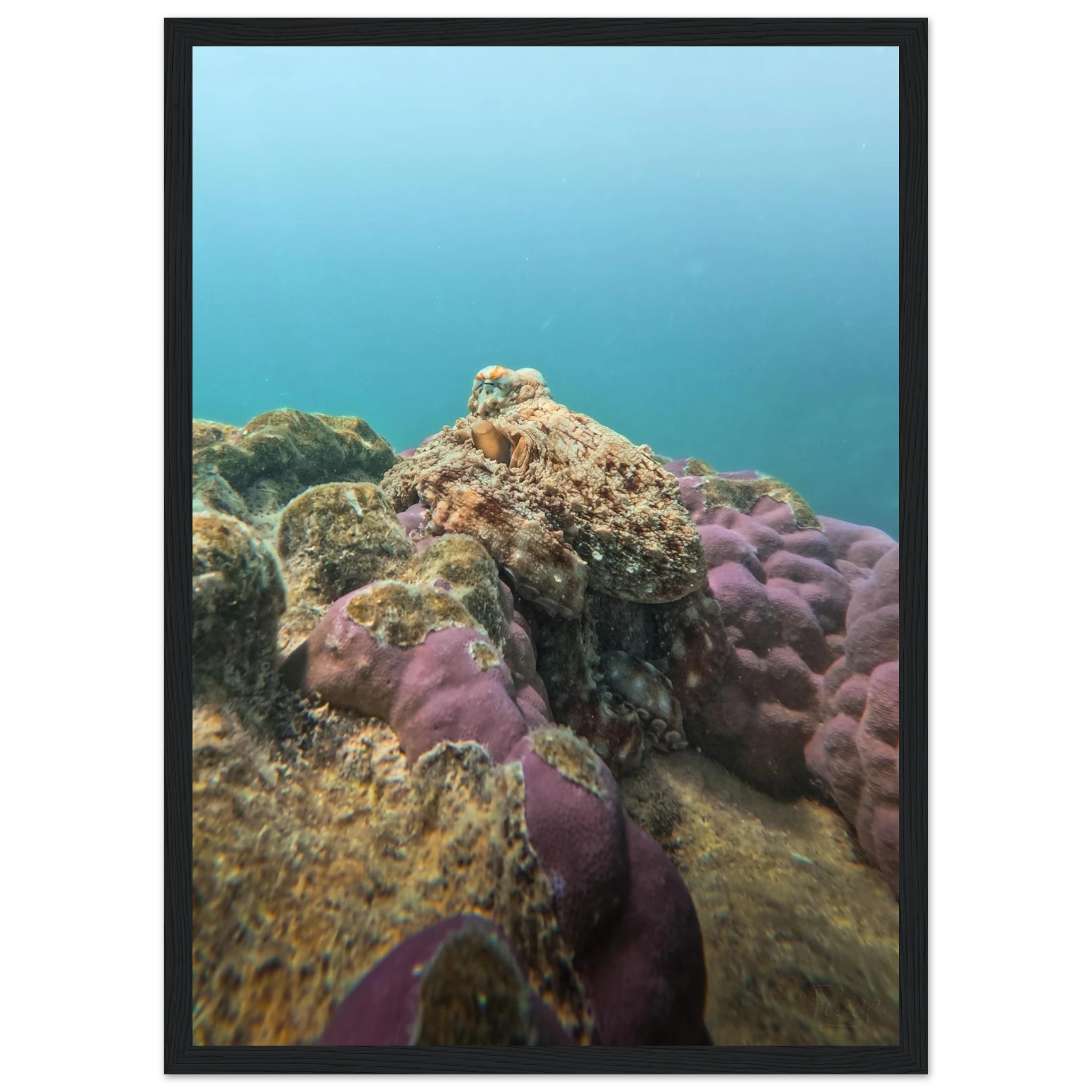 f6ddb9fc-9e7a-4dac-a014-a0f754dfcbaa