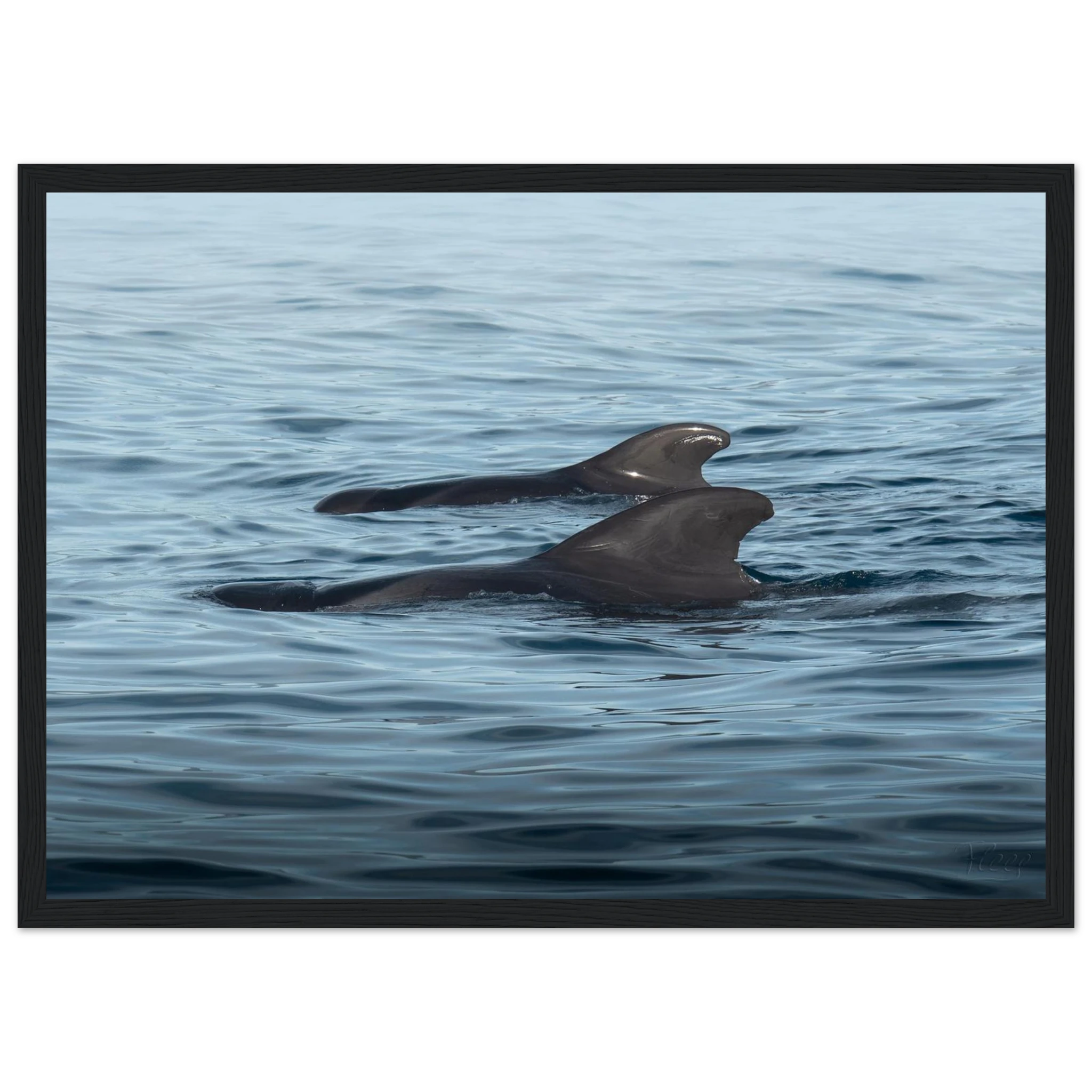 f732ecd8-d38b-46c4-8df6-8eb40e13533e