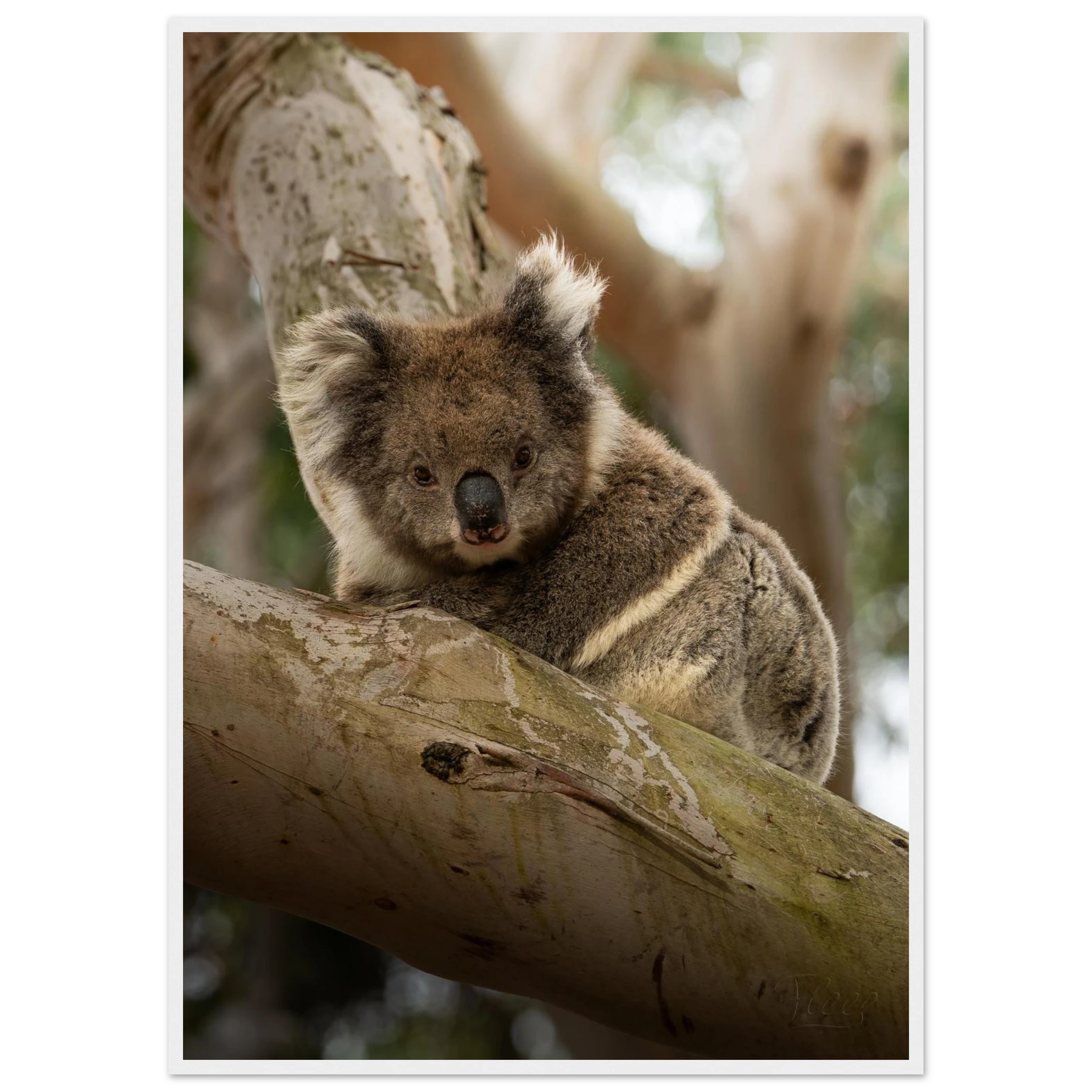 f73dc224-5ca2-44bb-b223-df1d270d607c